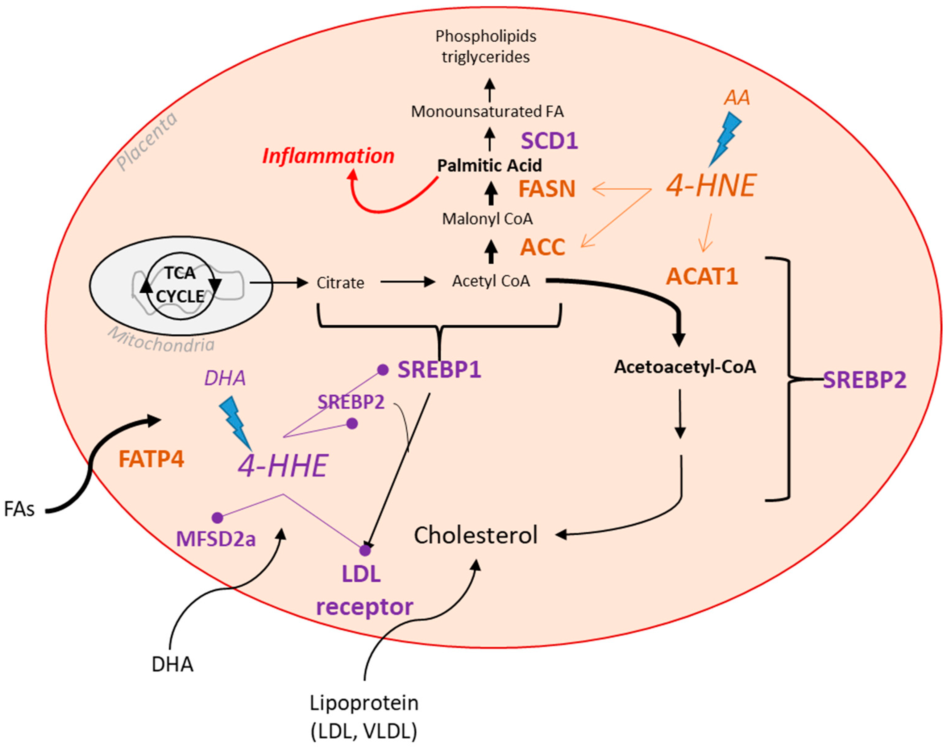 Biology 12 00527 g003
