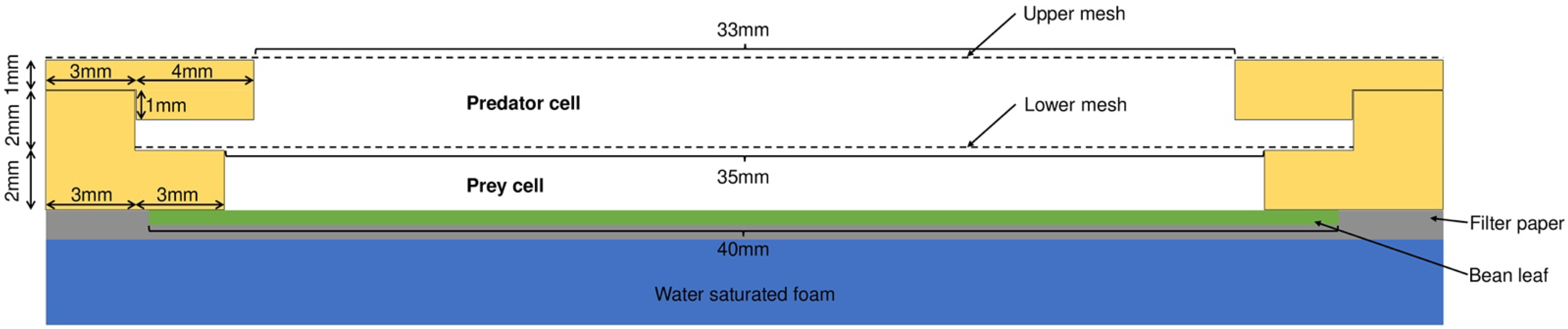 Biology 12 00554 g001 Biology 12 00554 g001