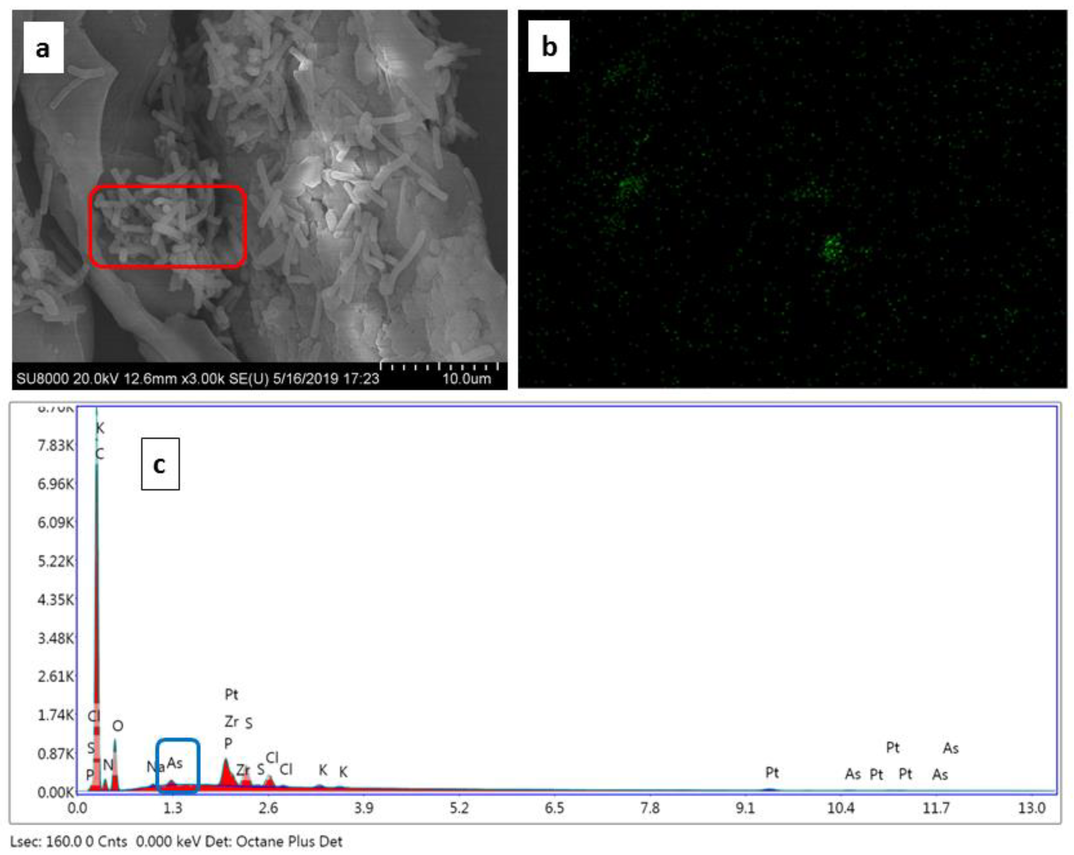 Biology 12 00611 g004
