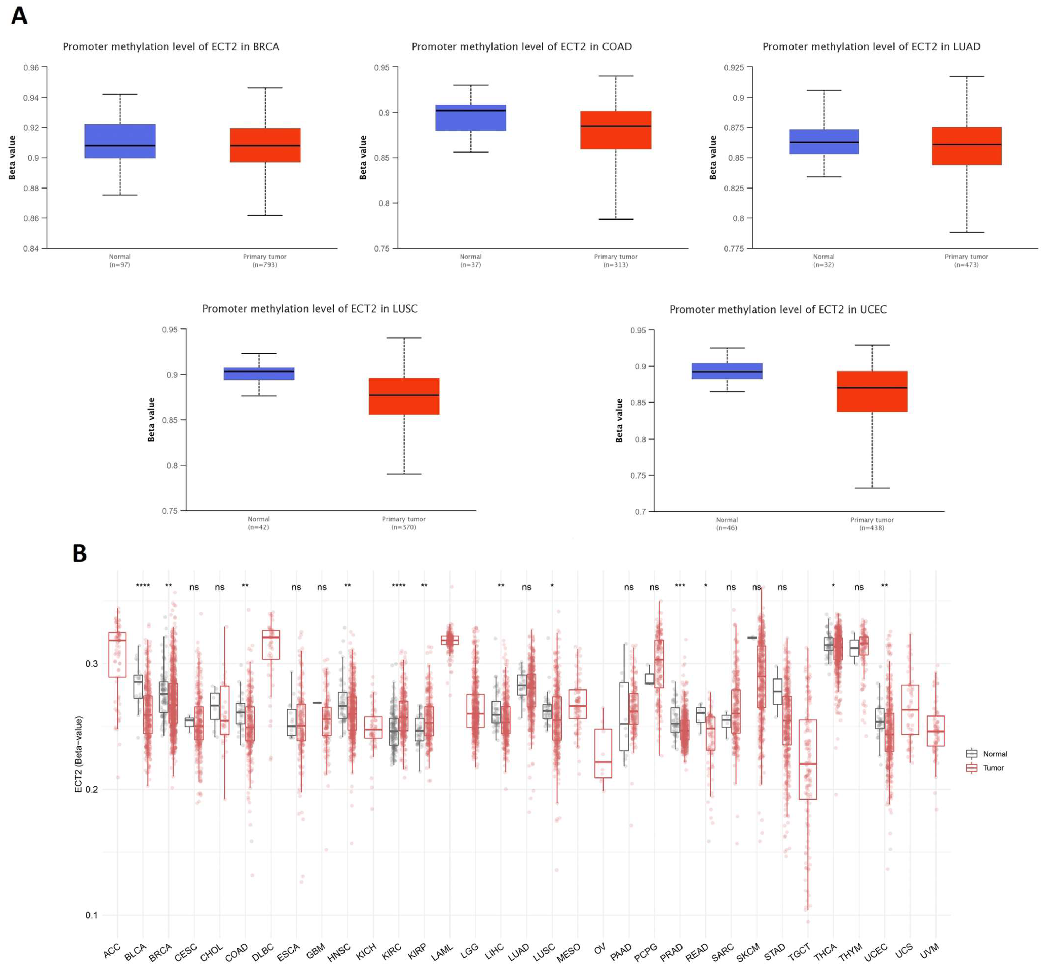 Biology 12 00613 g006 Biology 12 00613 g006