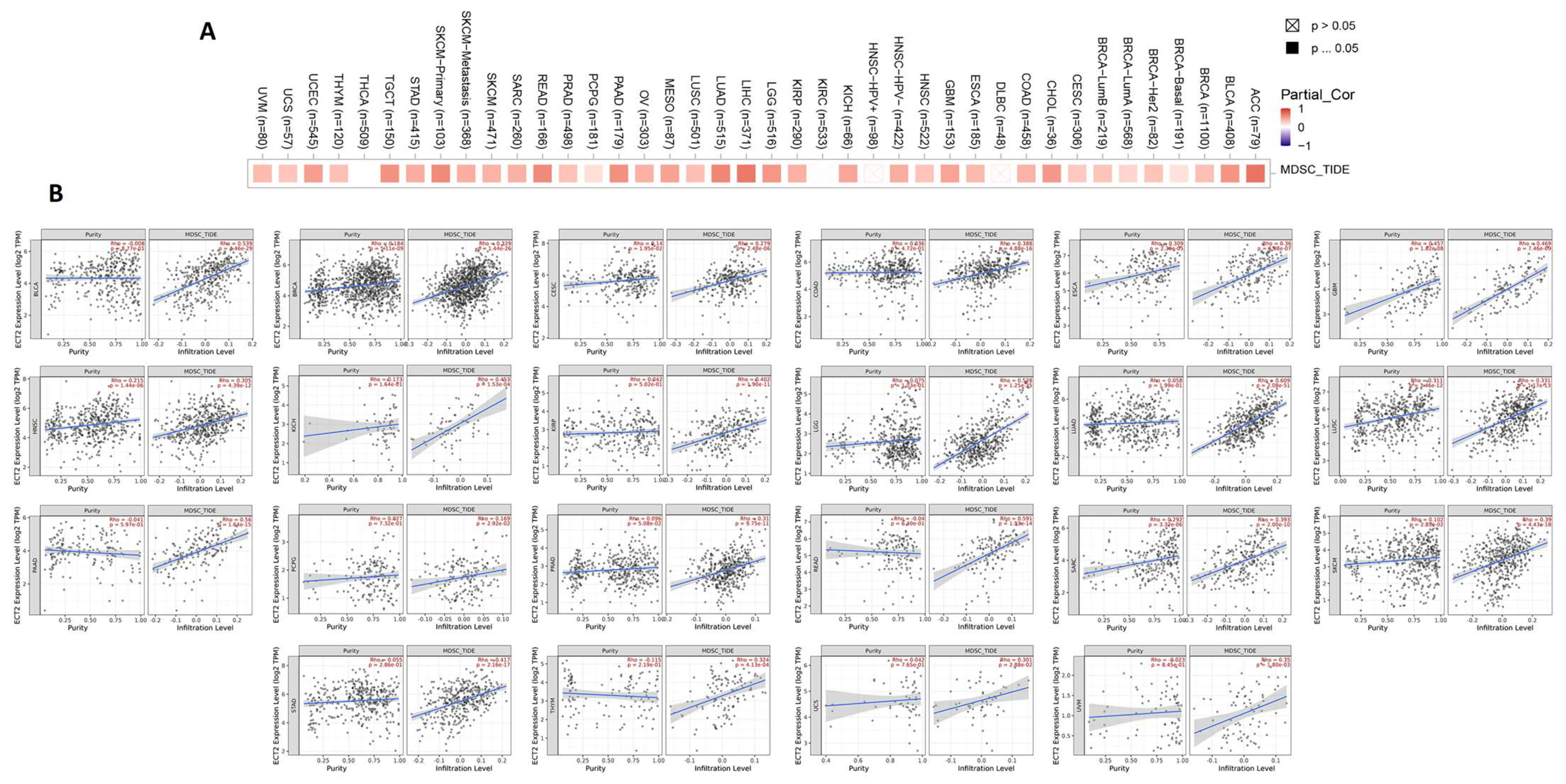 Biology 12 00613 g008 Biology 12 00613 g008