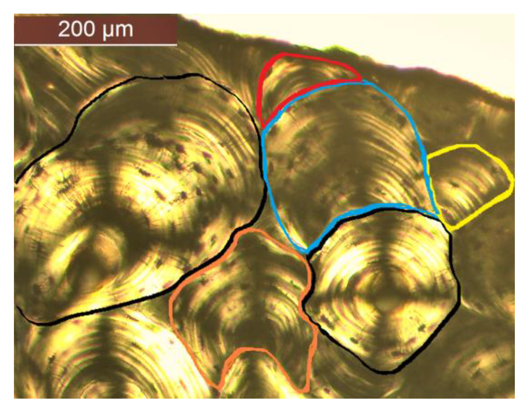 Biology 12 00619 g001 Biology 12 00619 g001