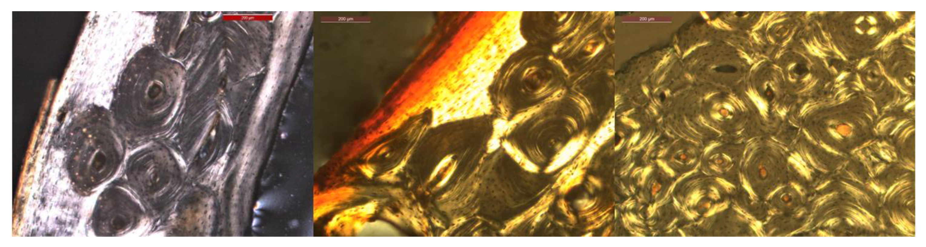 Biology 12 00619 g002 Biology 12 00619 g002
