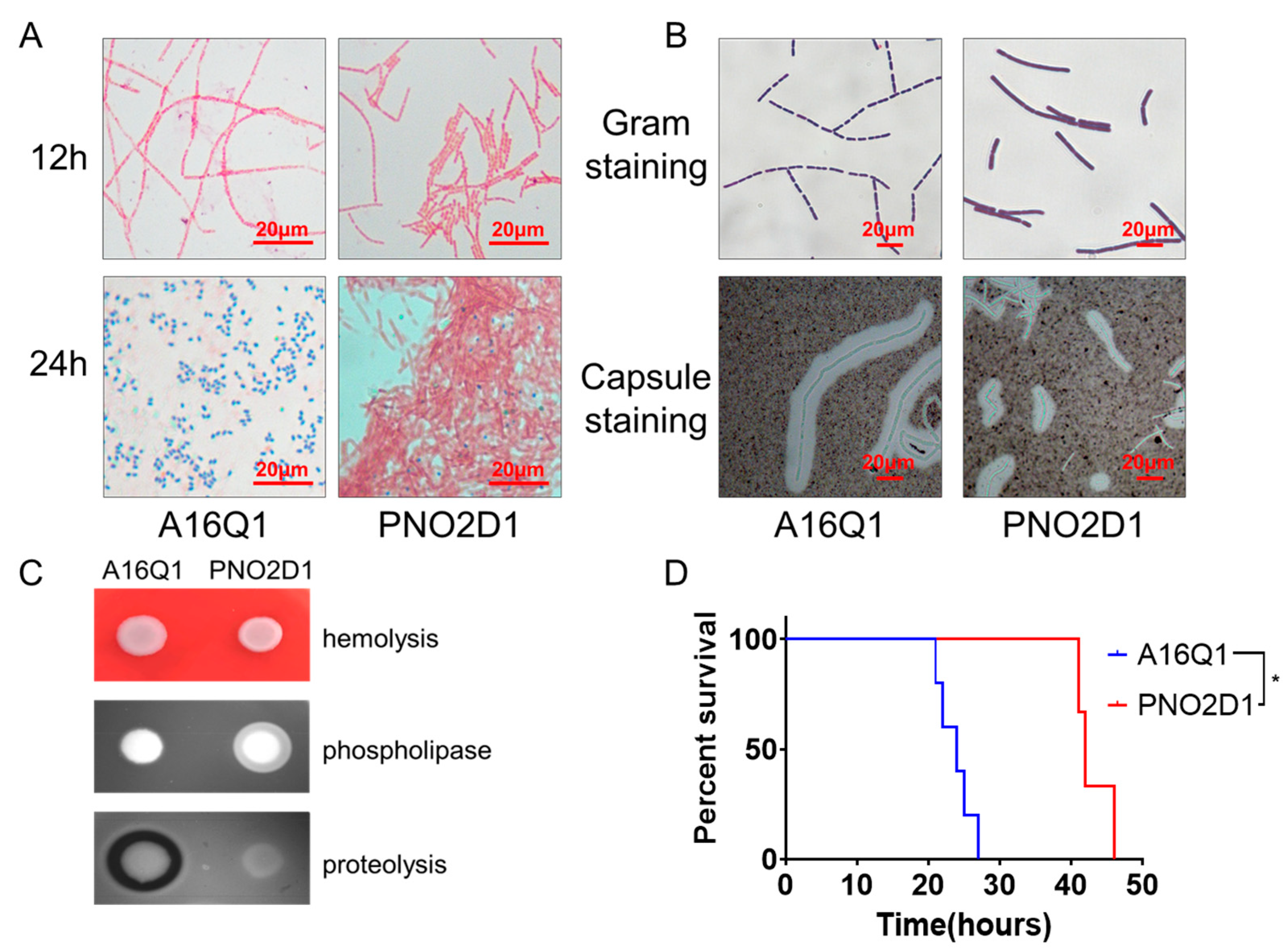 Biology 12 00645 g001