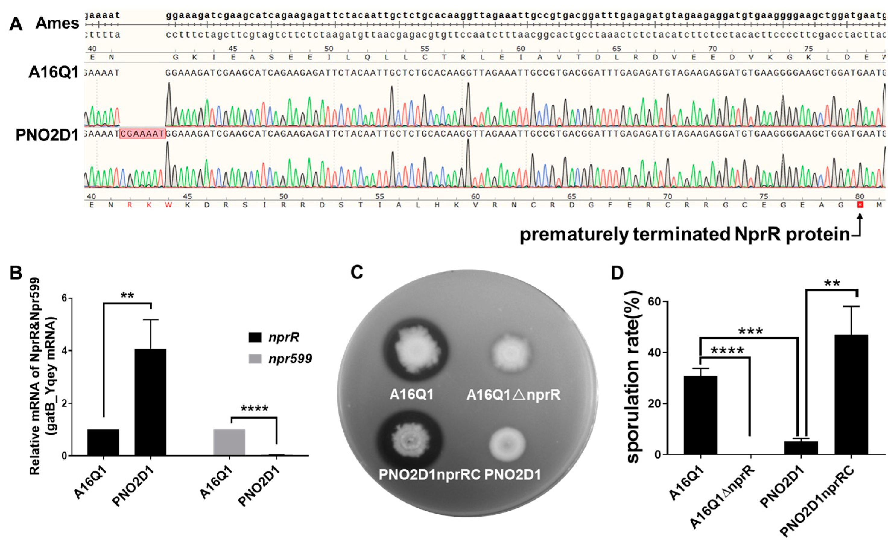 Biology 12 00645 g003