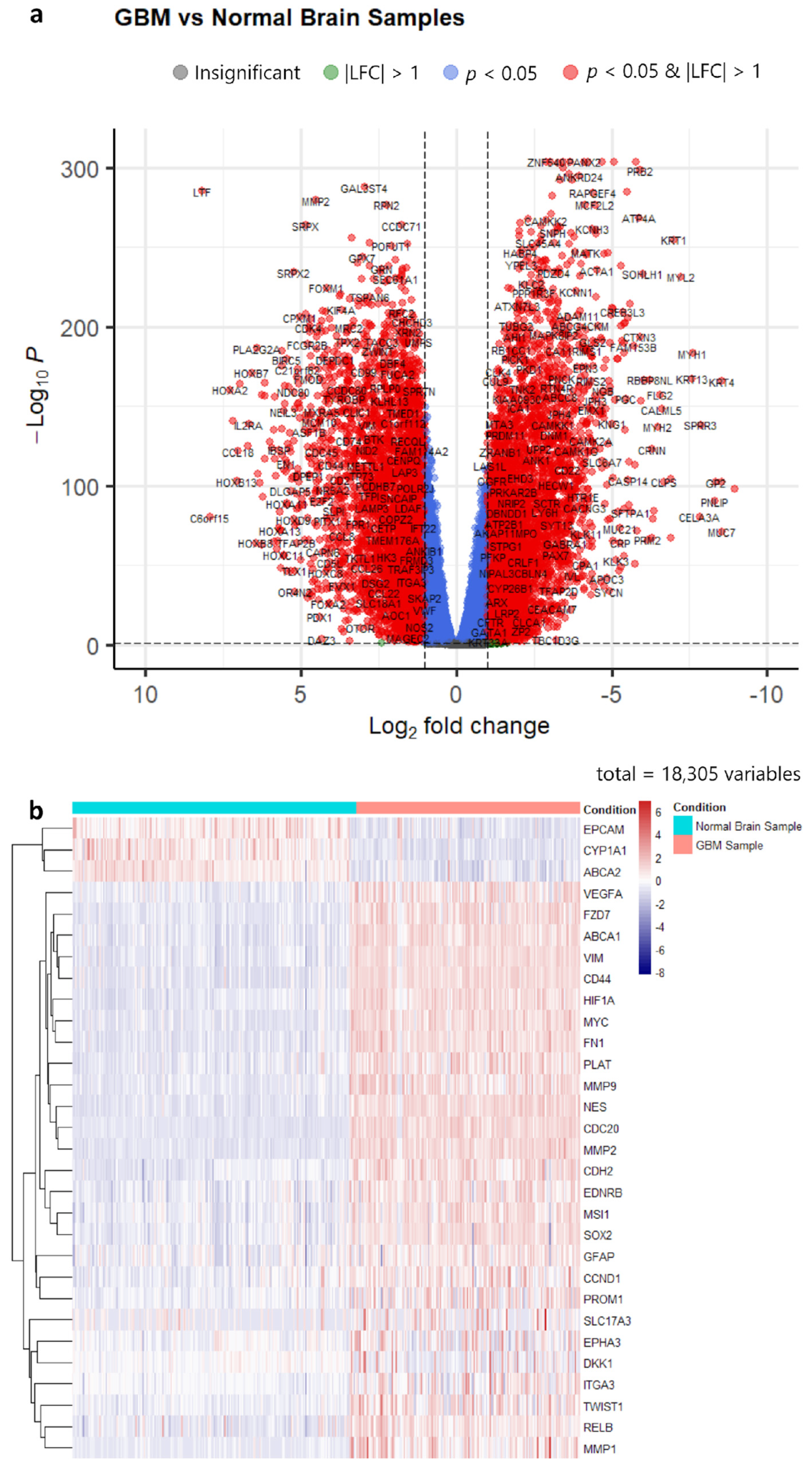 Biology 12 00648 g001 Biology 12 00648 g001