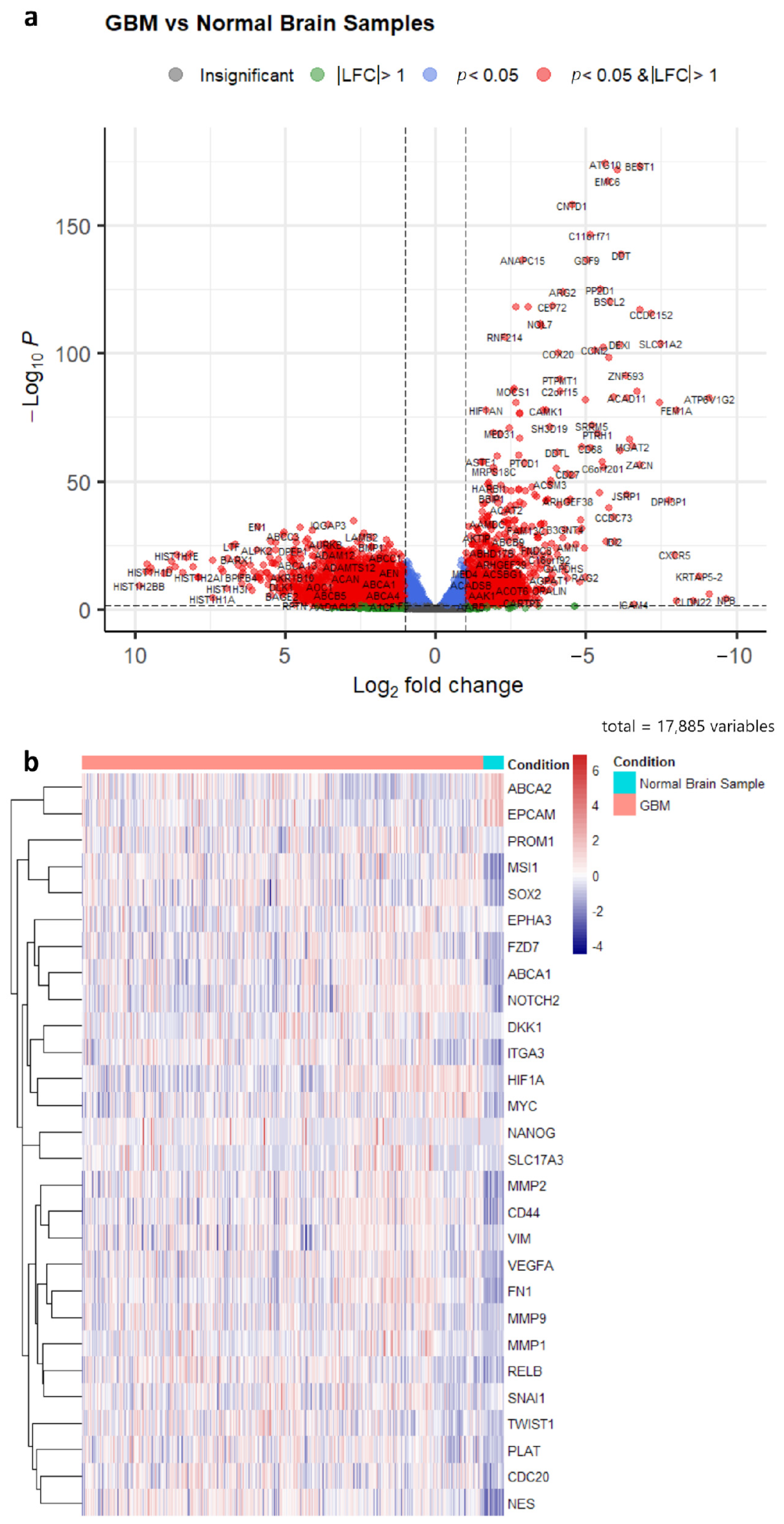Biology 12 00648 g002 Biology 12 00648 g002