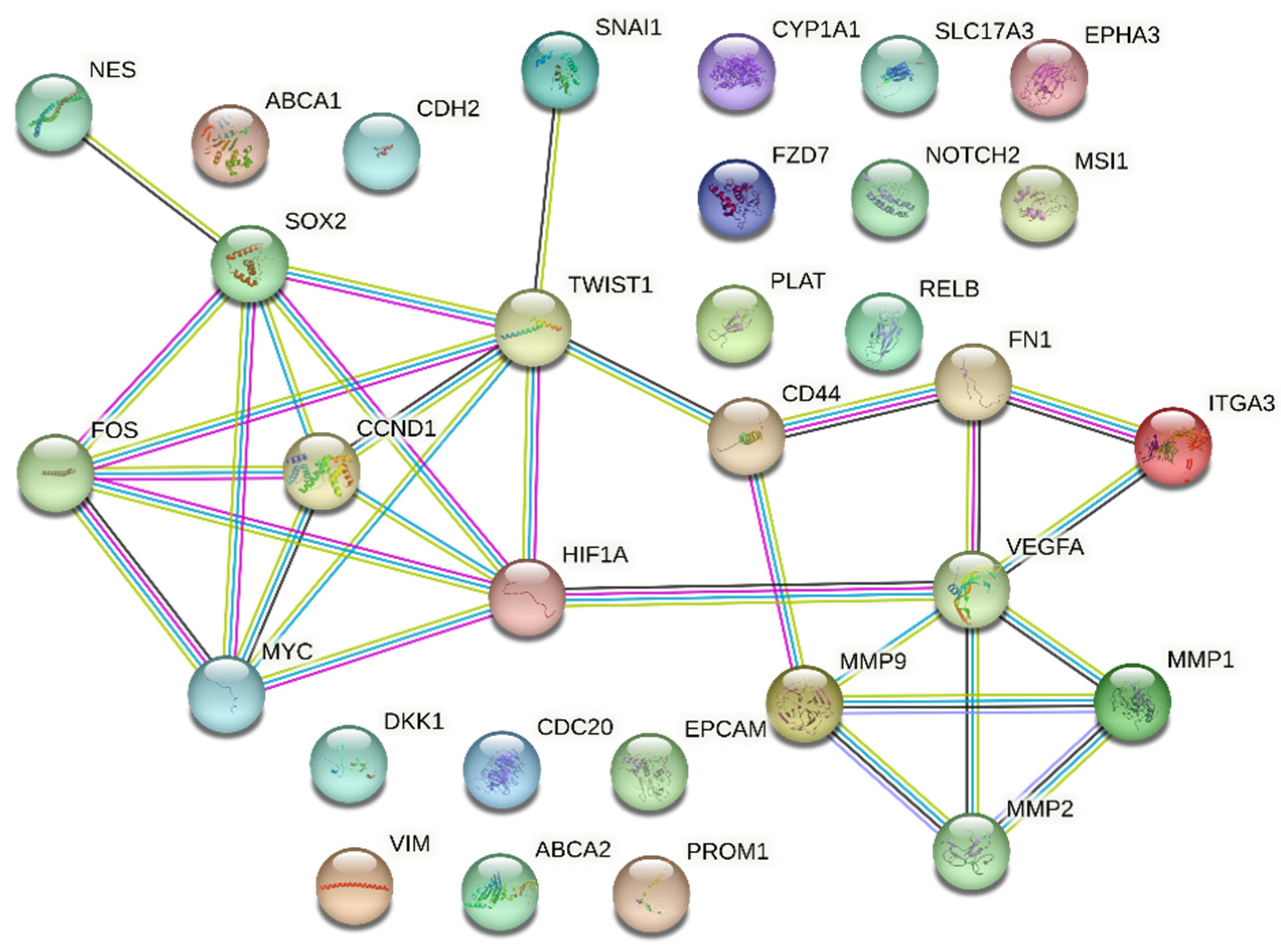 Biology 12 00648 g003 Biology 12 00648 g003