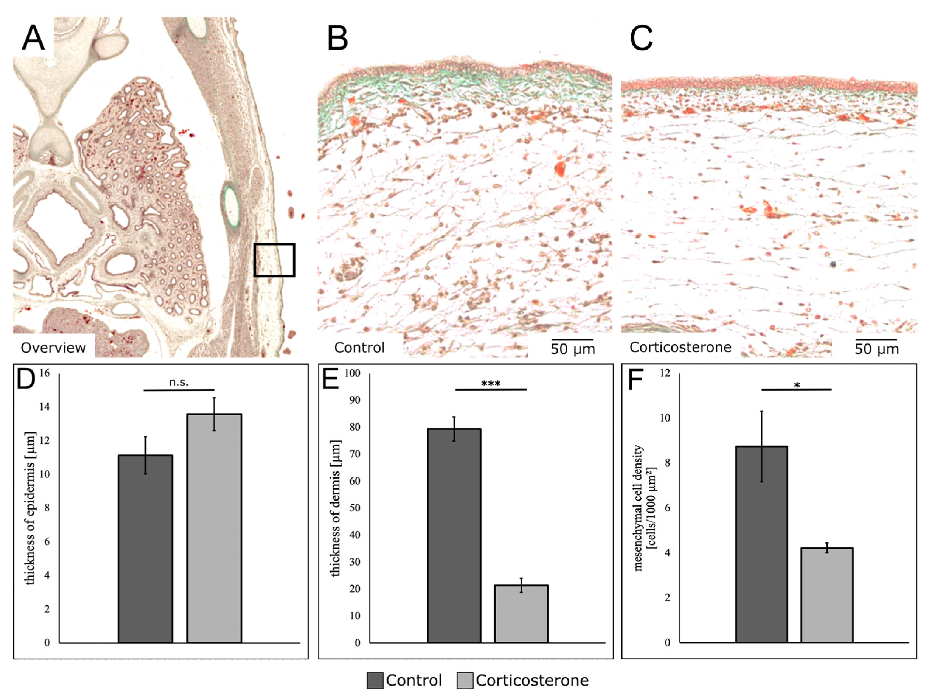 Biology 12 00656 g003