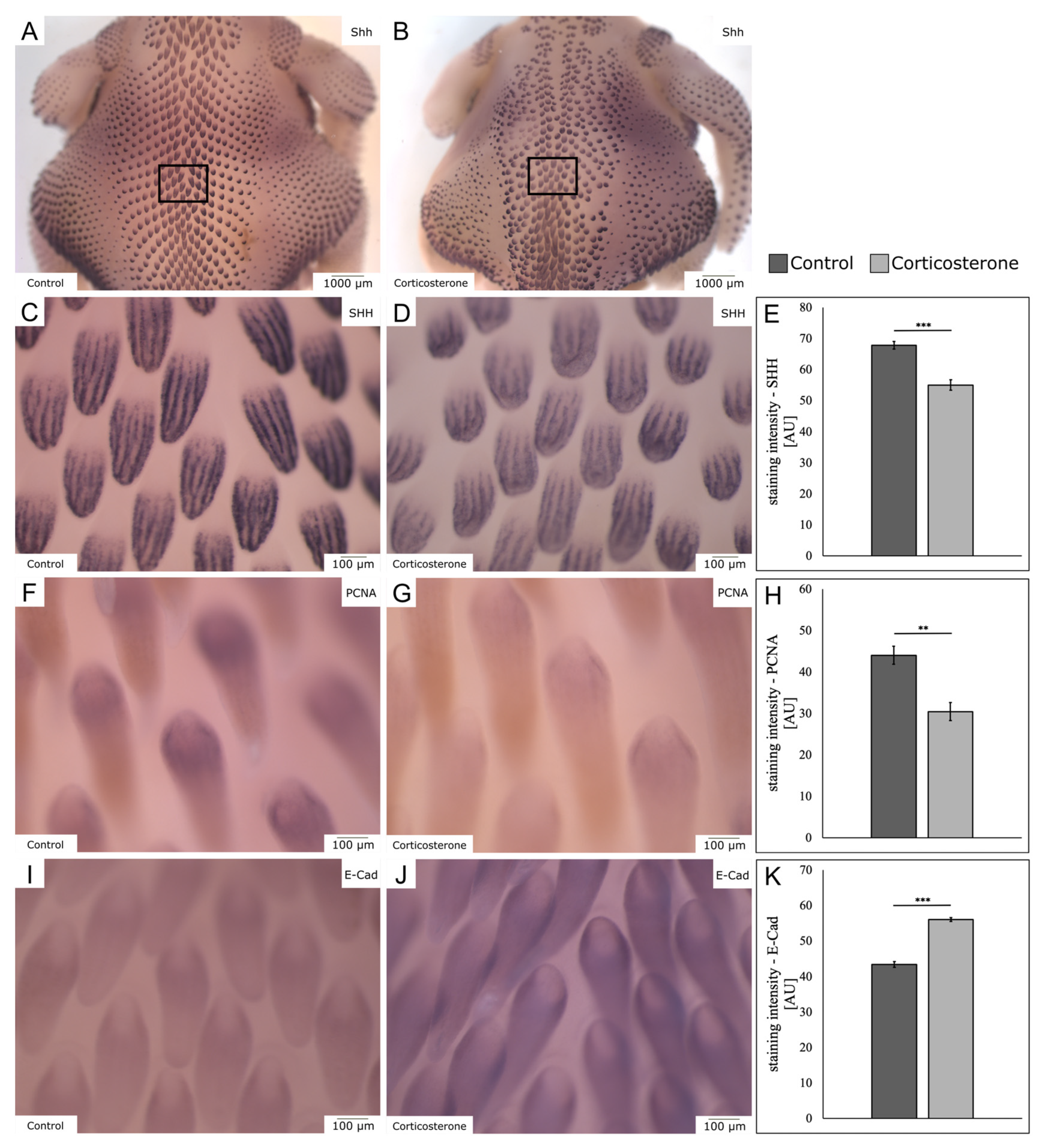 Biology 12 00656 g006