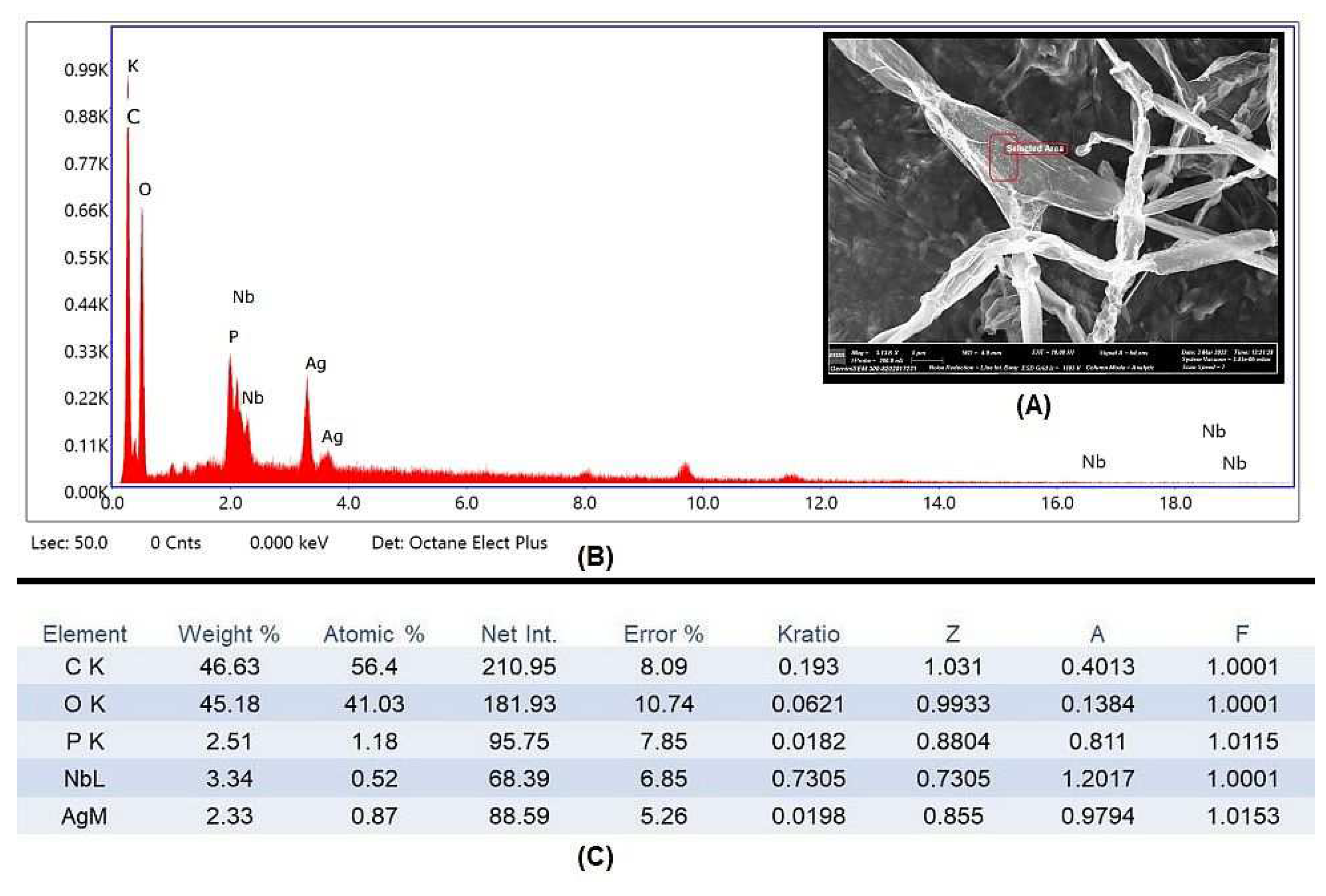Biology 12 00661 g007 Biology 12 00661 g007