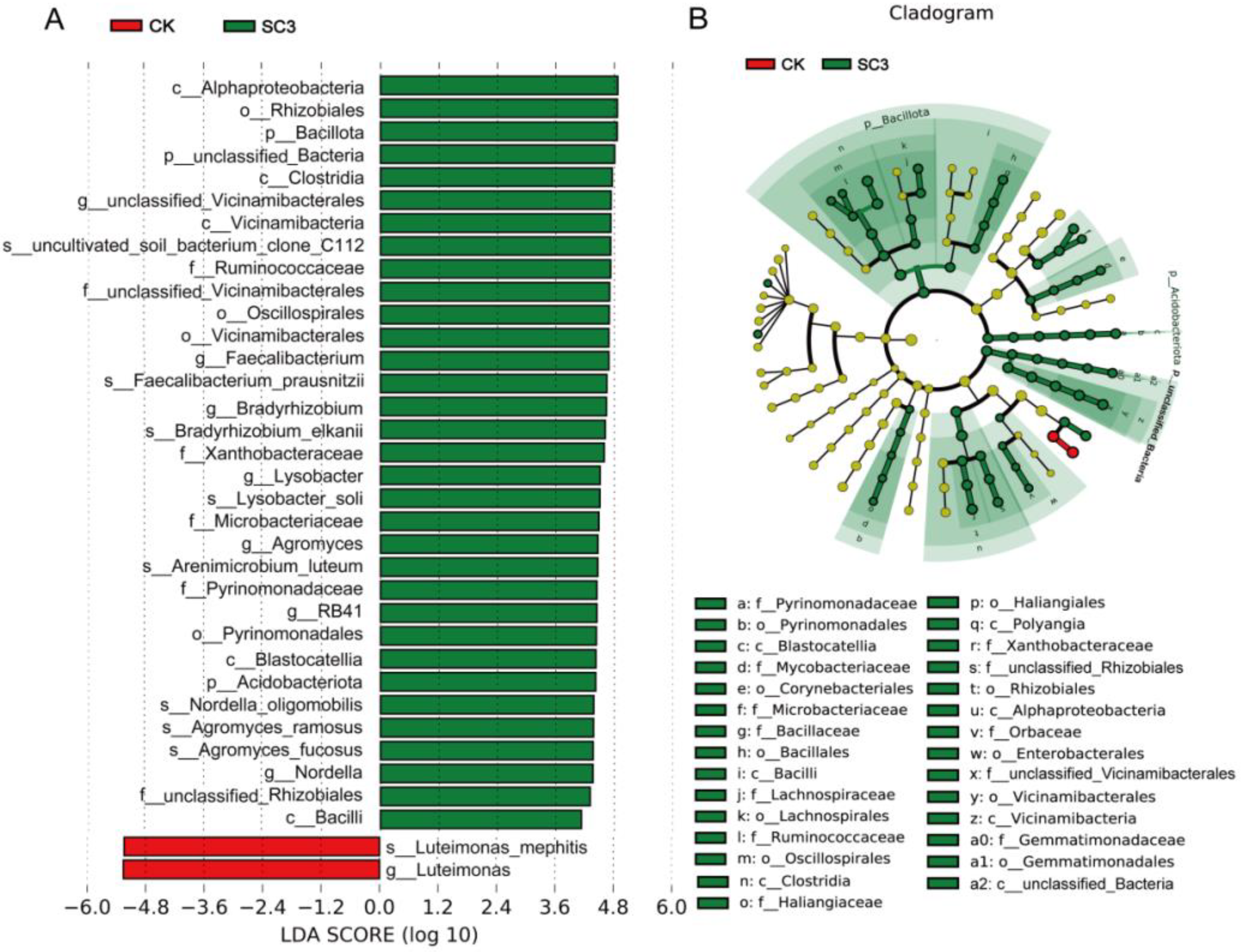 Biology 12 00668 g007