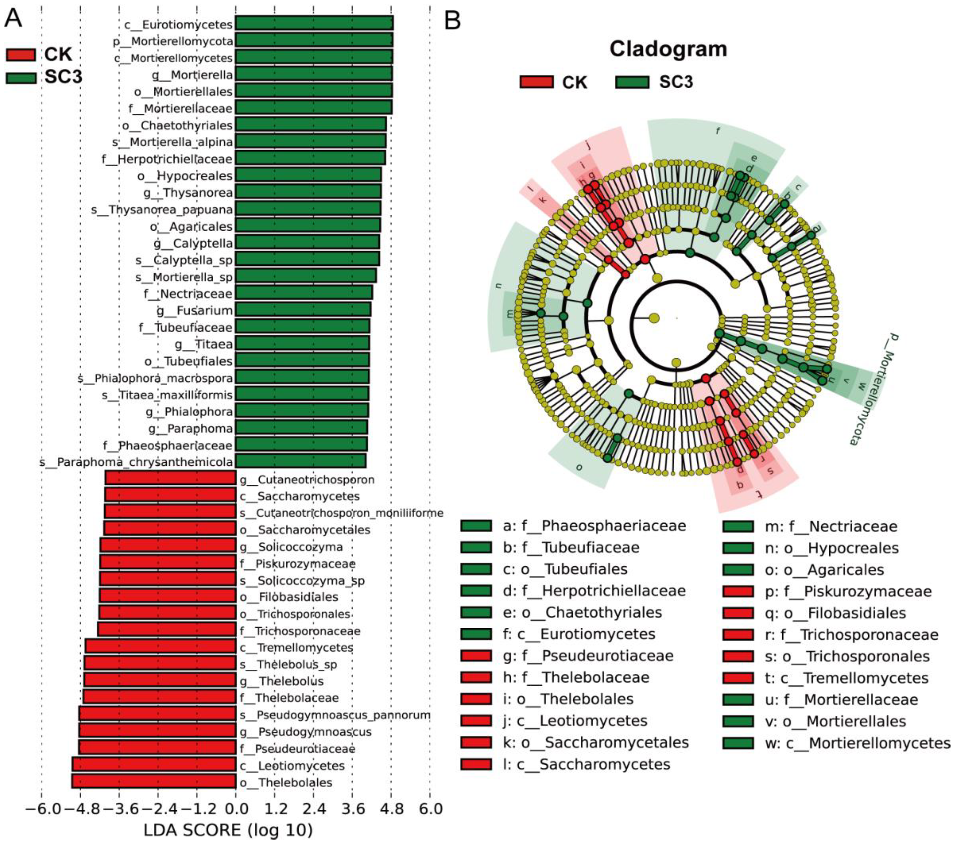 Biology 12 00668 g009