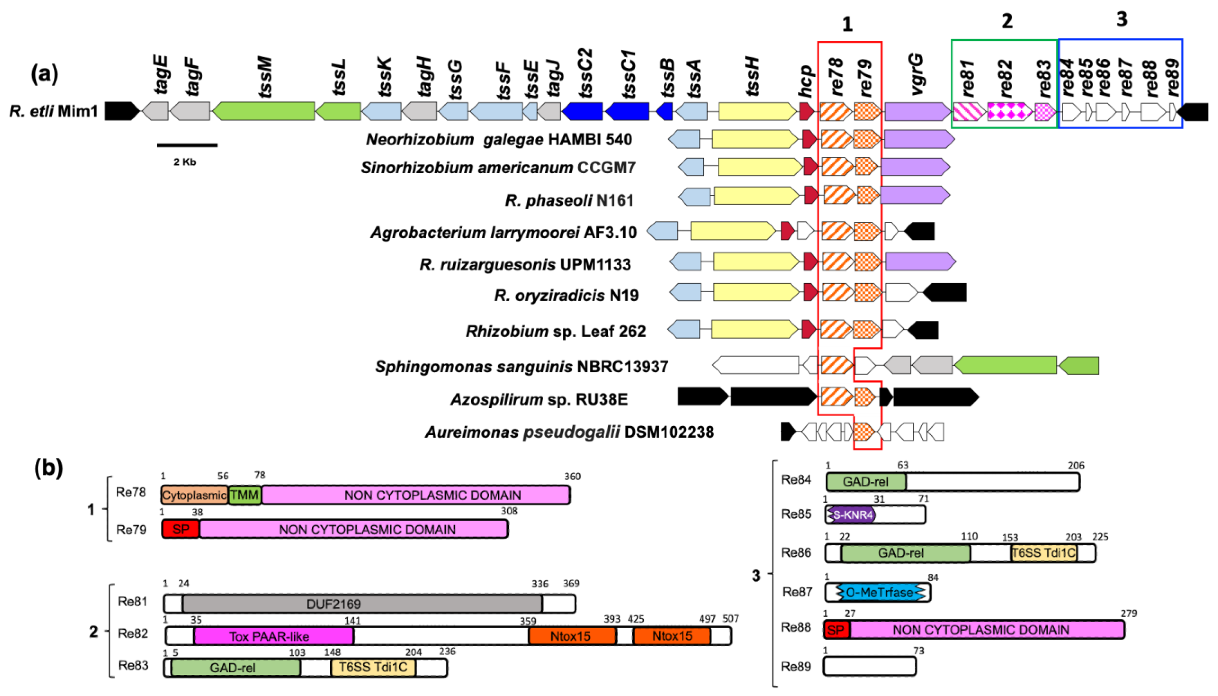 Biology 12 00678 g001 Biology 12 00678 g001