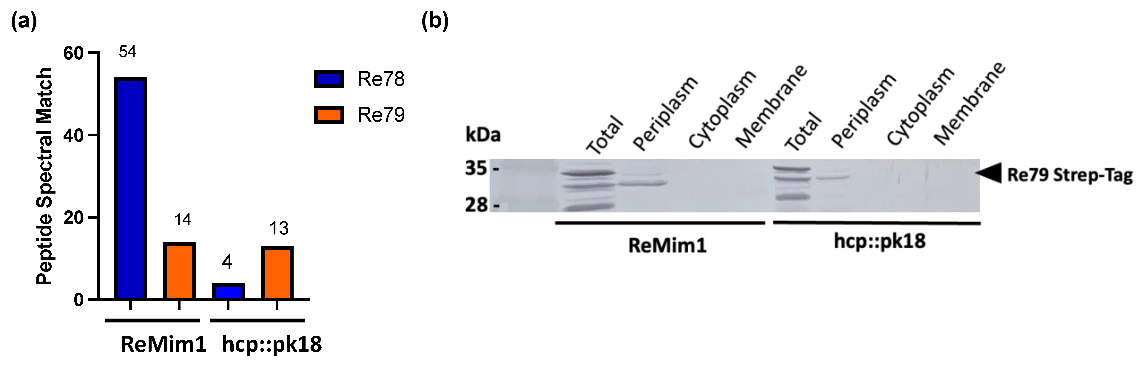 Biology 12 00678 g004 Biology 12 00678 g004