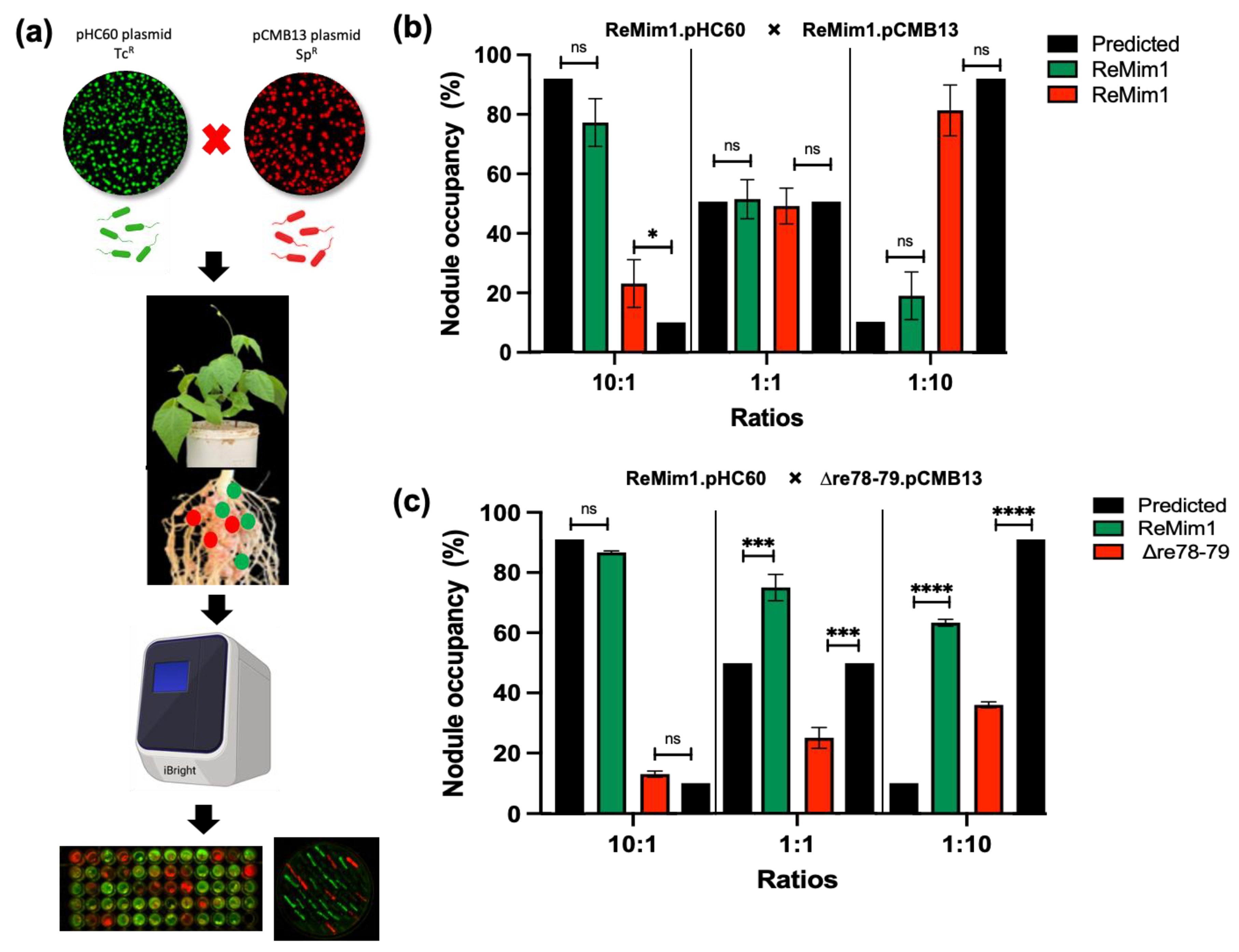 Biology 12 00678 g007 Biology 12 00678 g007