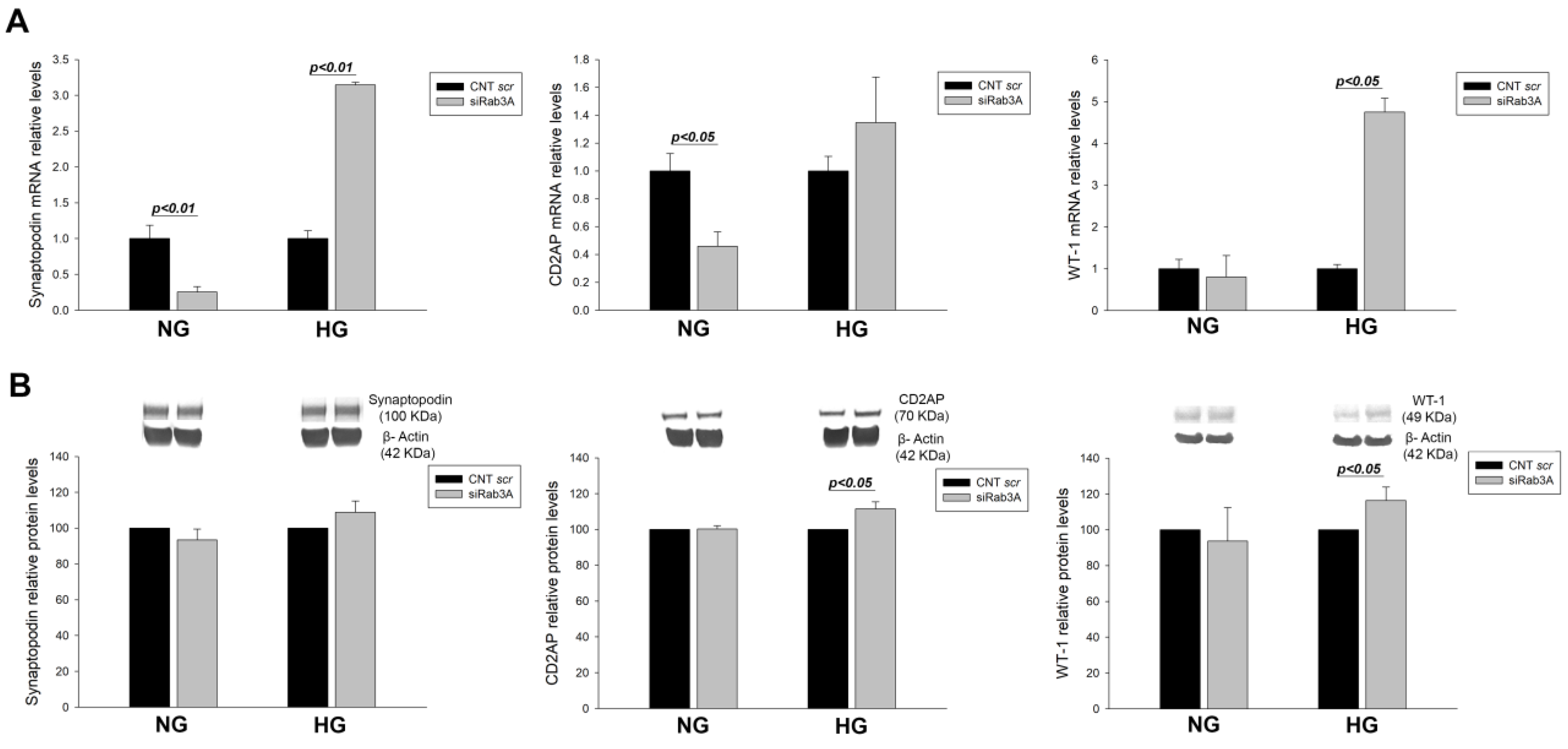 Biology 12 00690 g002