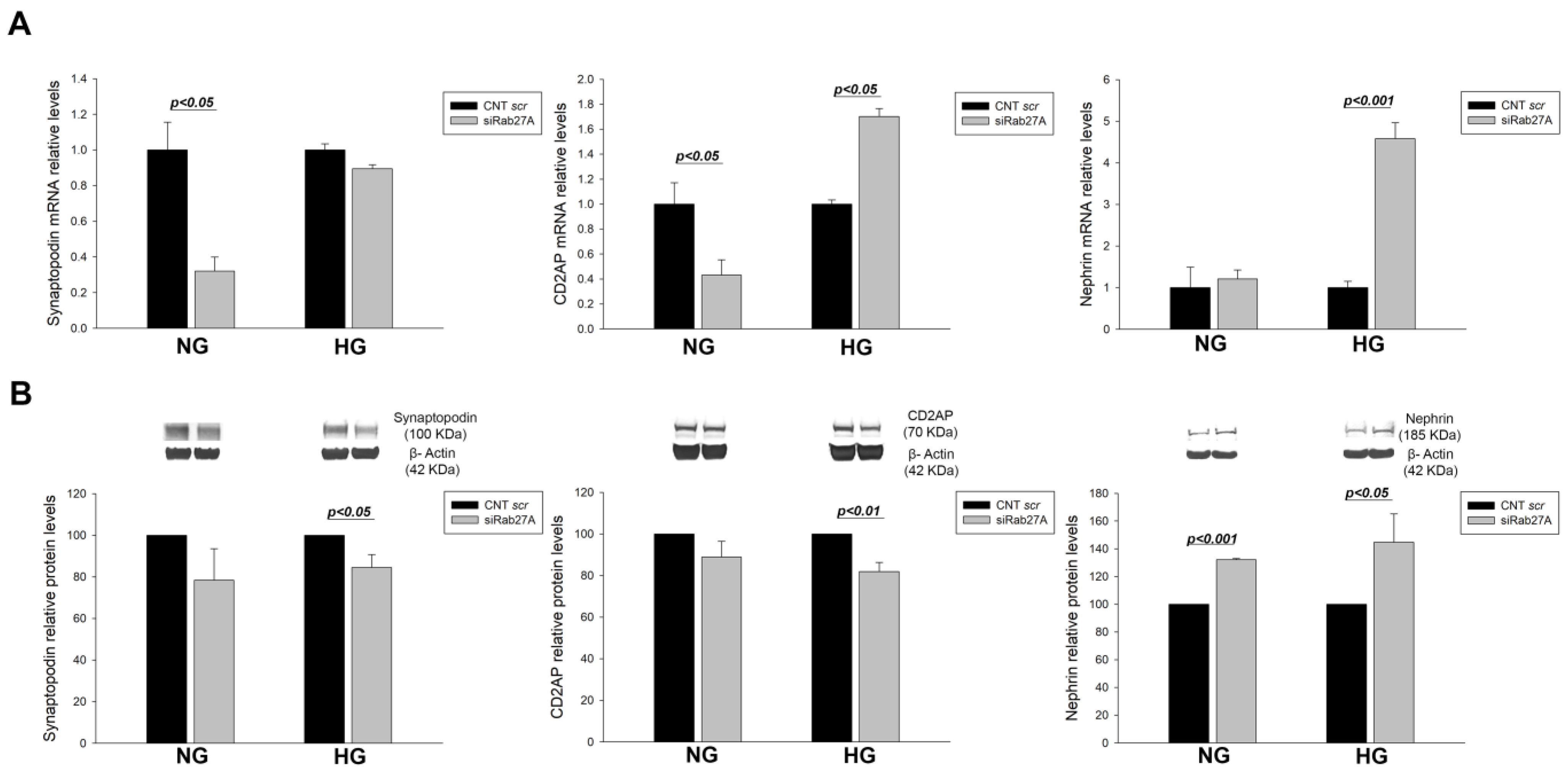 Biology 12 00690 g003