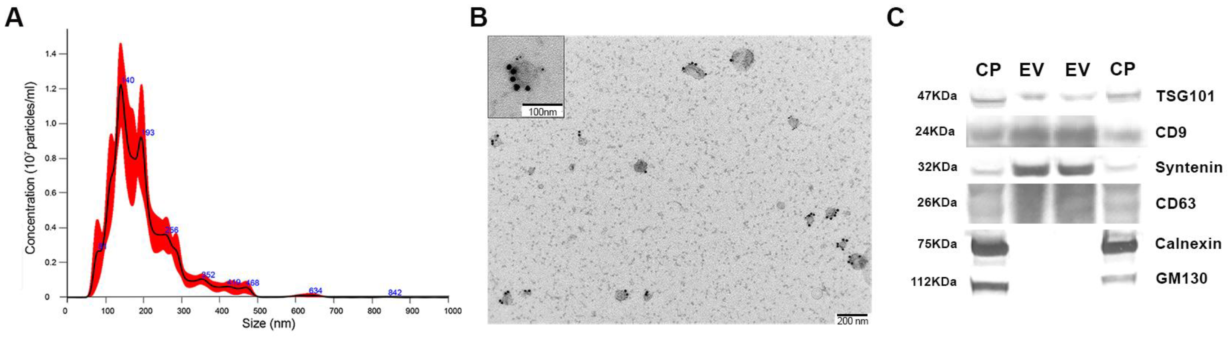 Biology 12 00690 g008