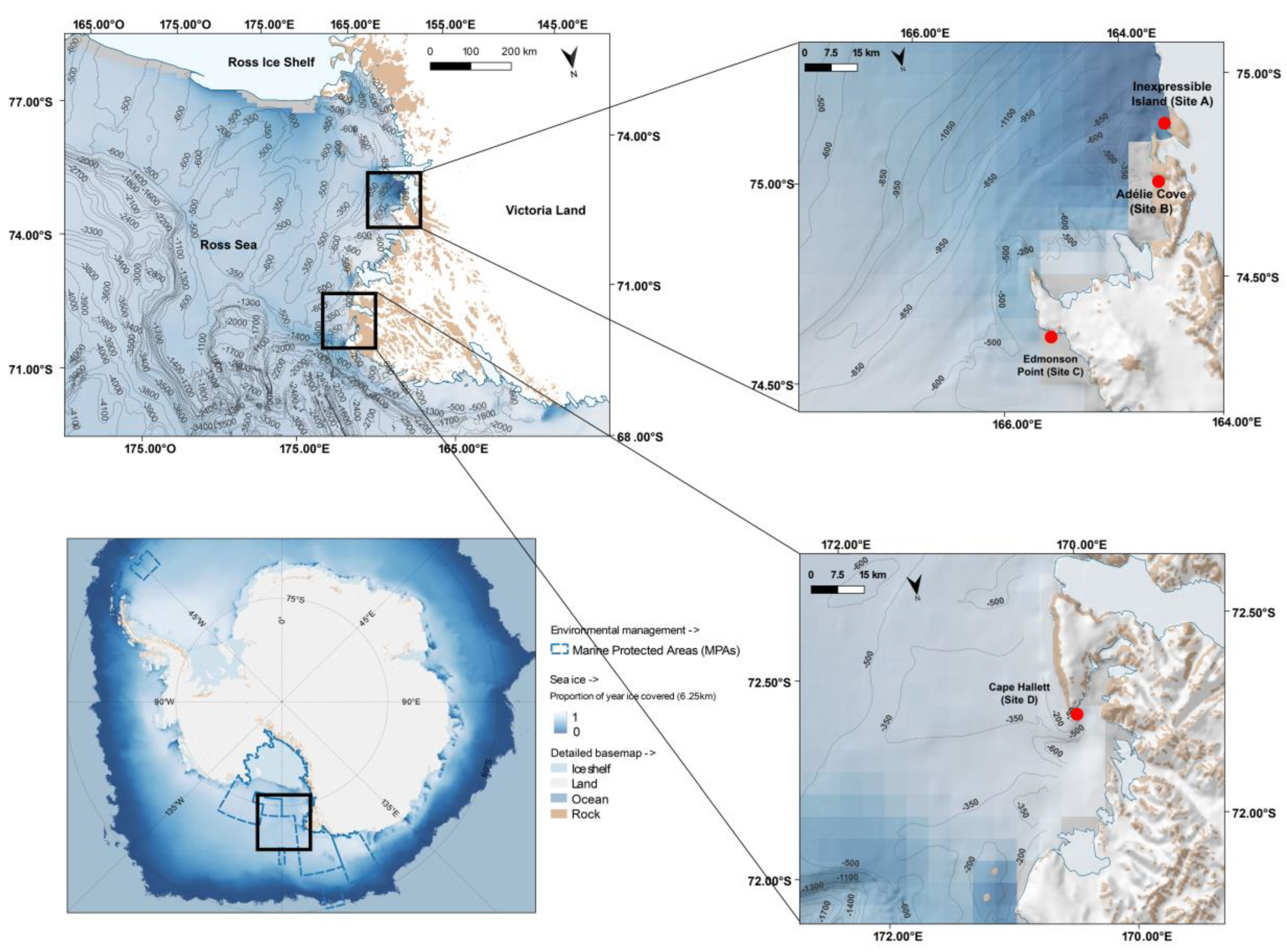 Biology 12 00708 g001
