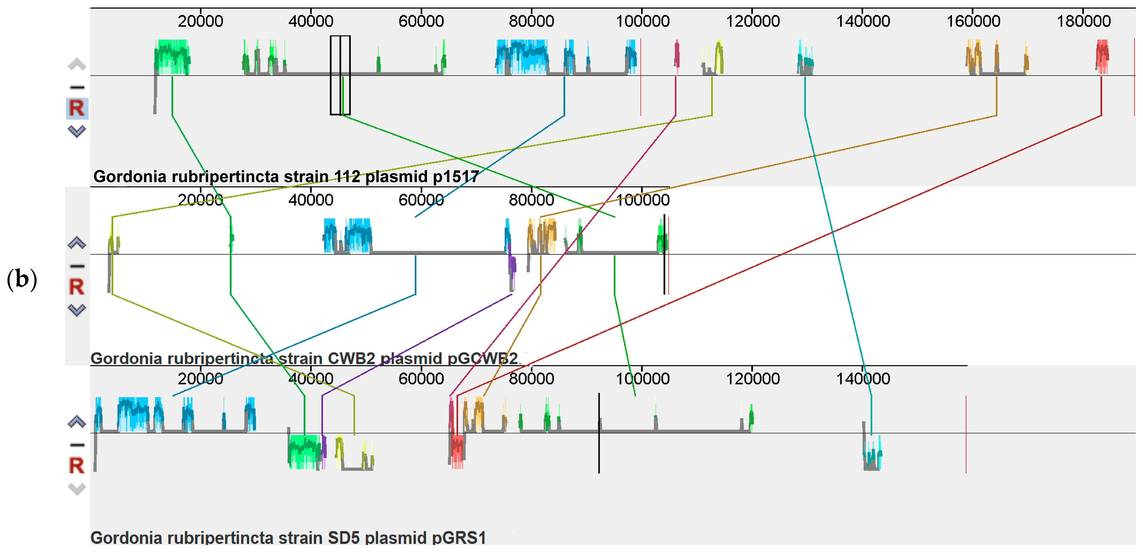 Biology 12 00721 g002b Biology 12 00721 g002b