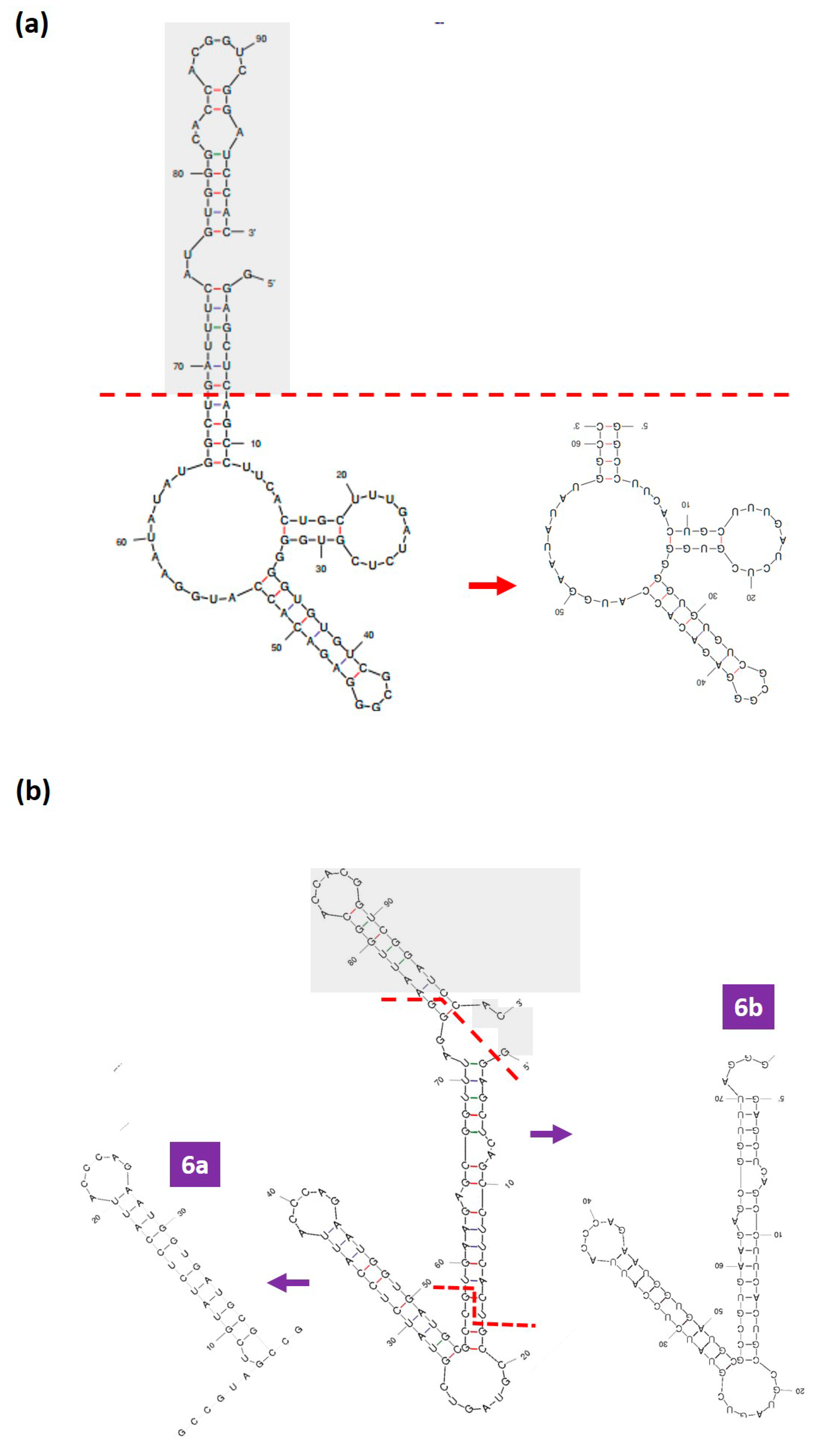Biology 12 00722 g003