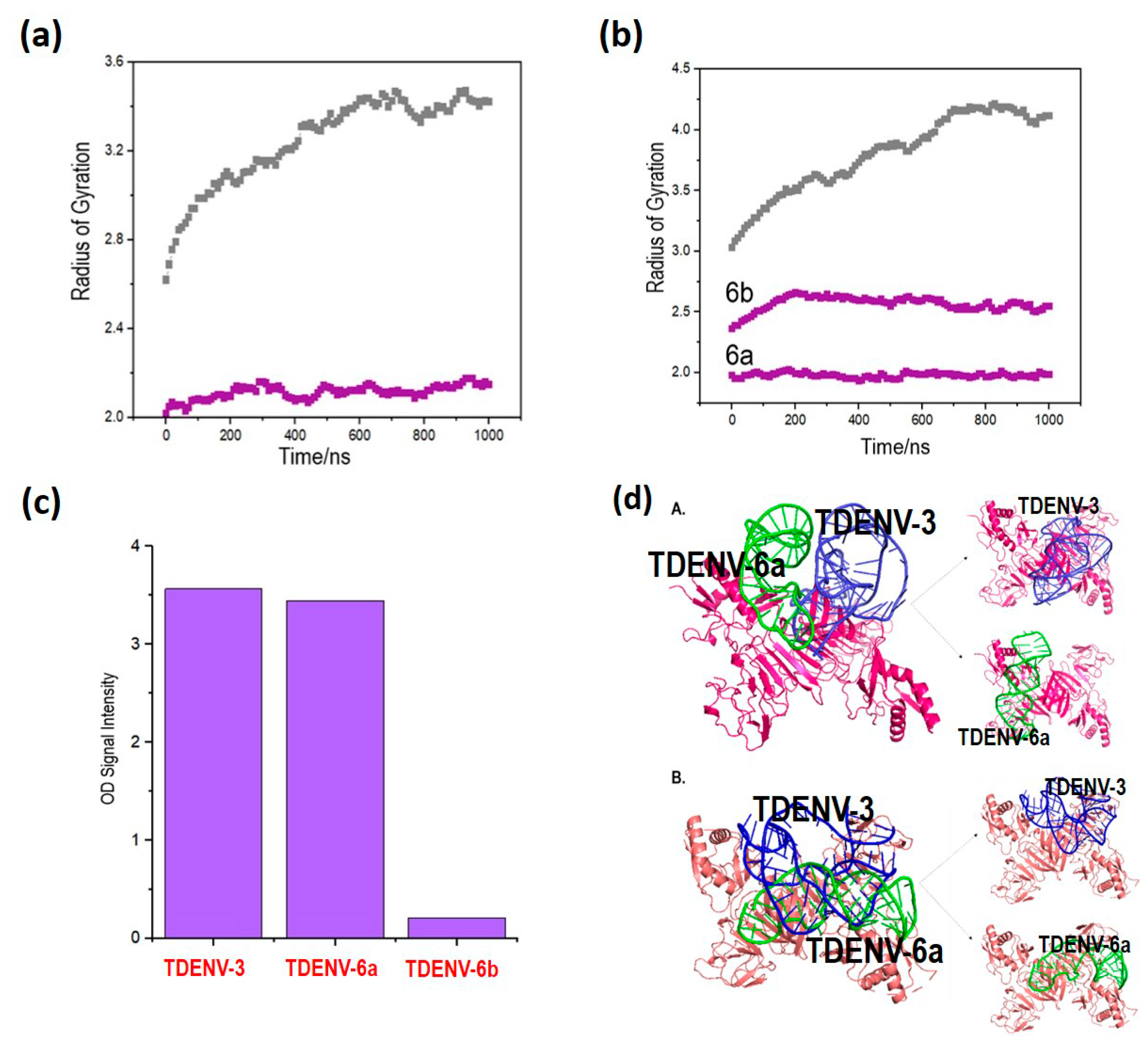 Biology 12 00722 g004