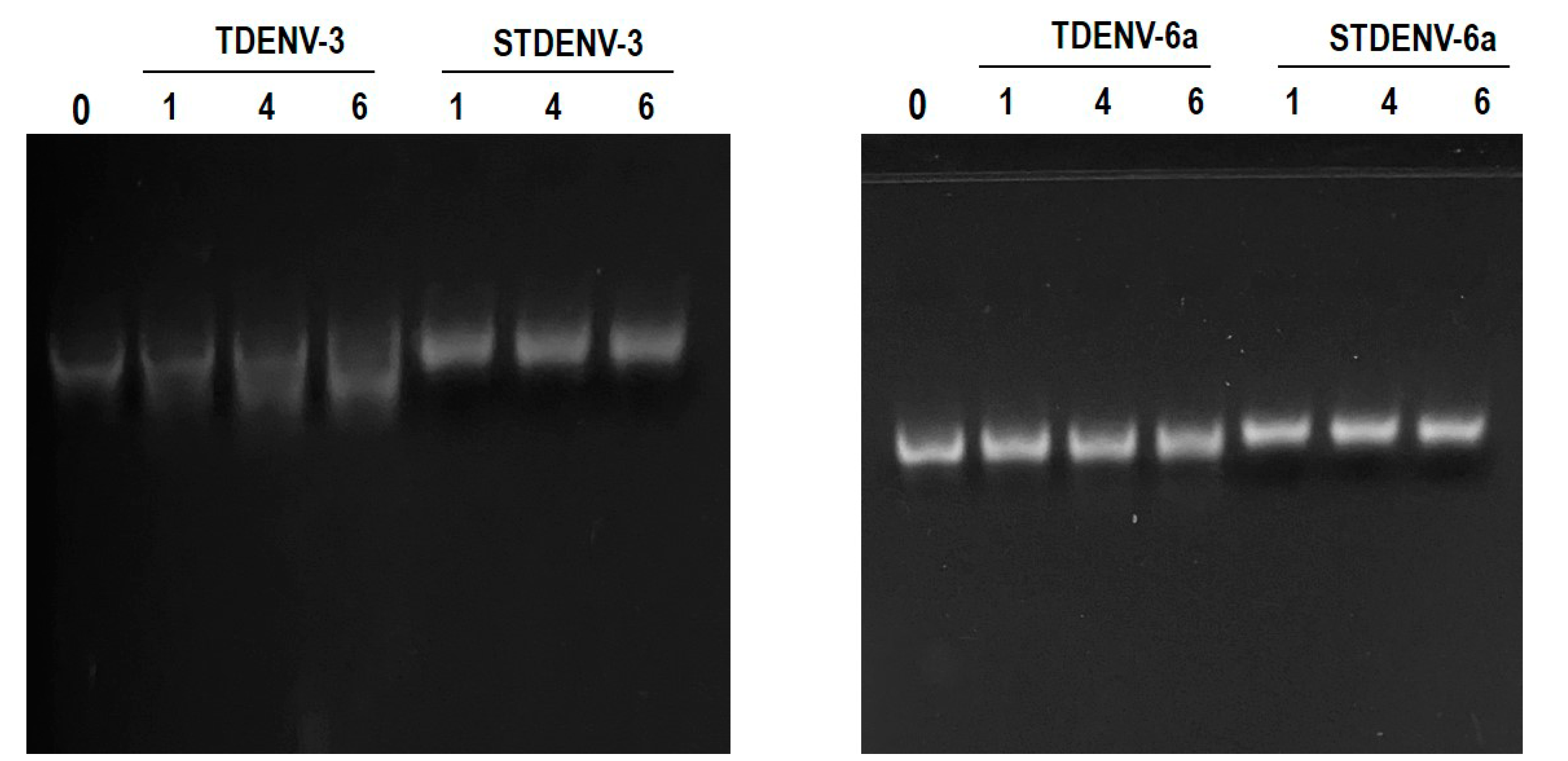 Biology 12 00722 g008