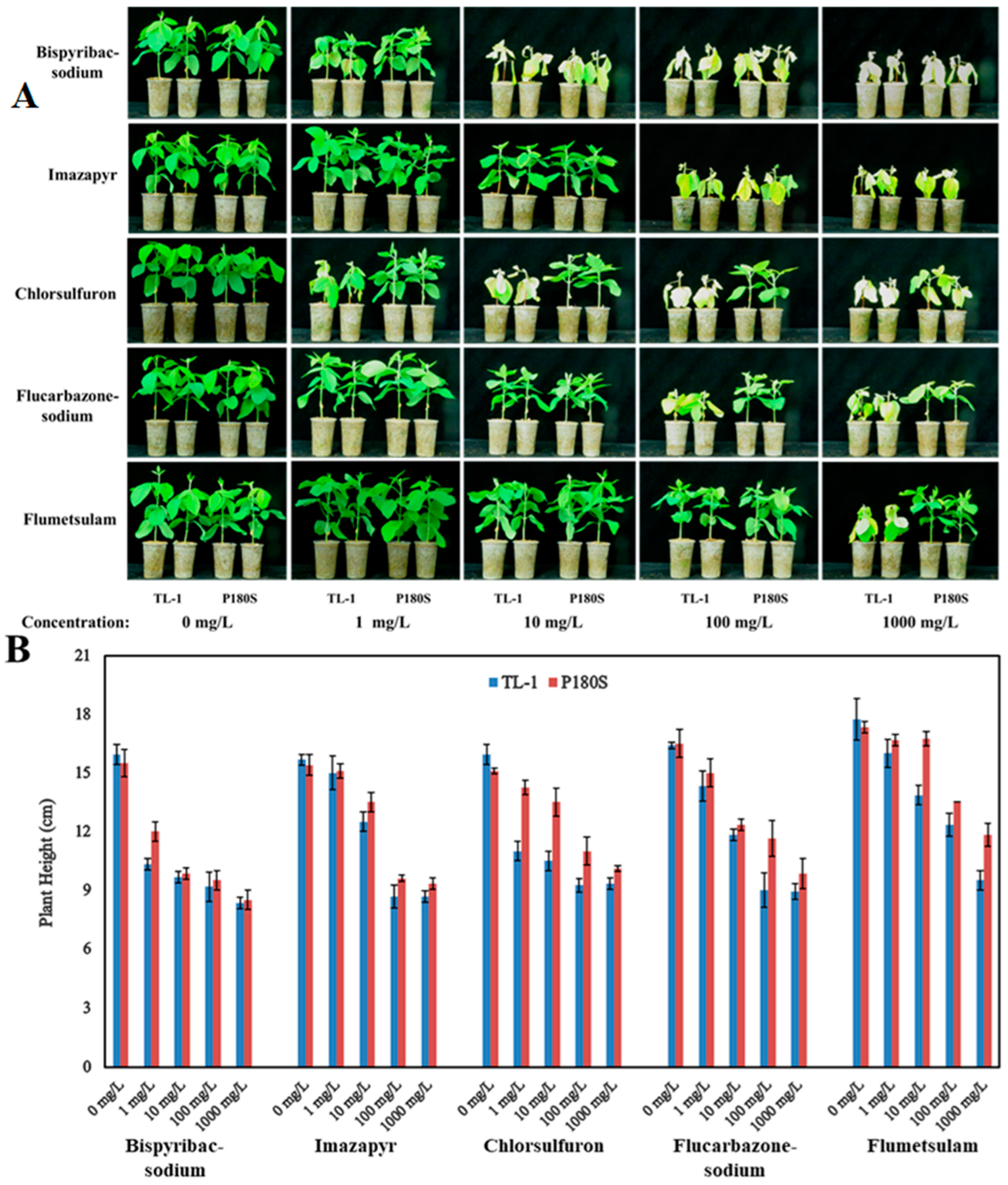 Biology 12 00741 g004 Biology 12 00741 g004