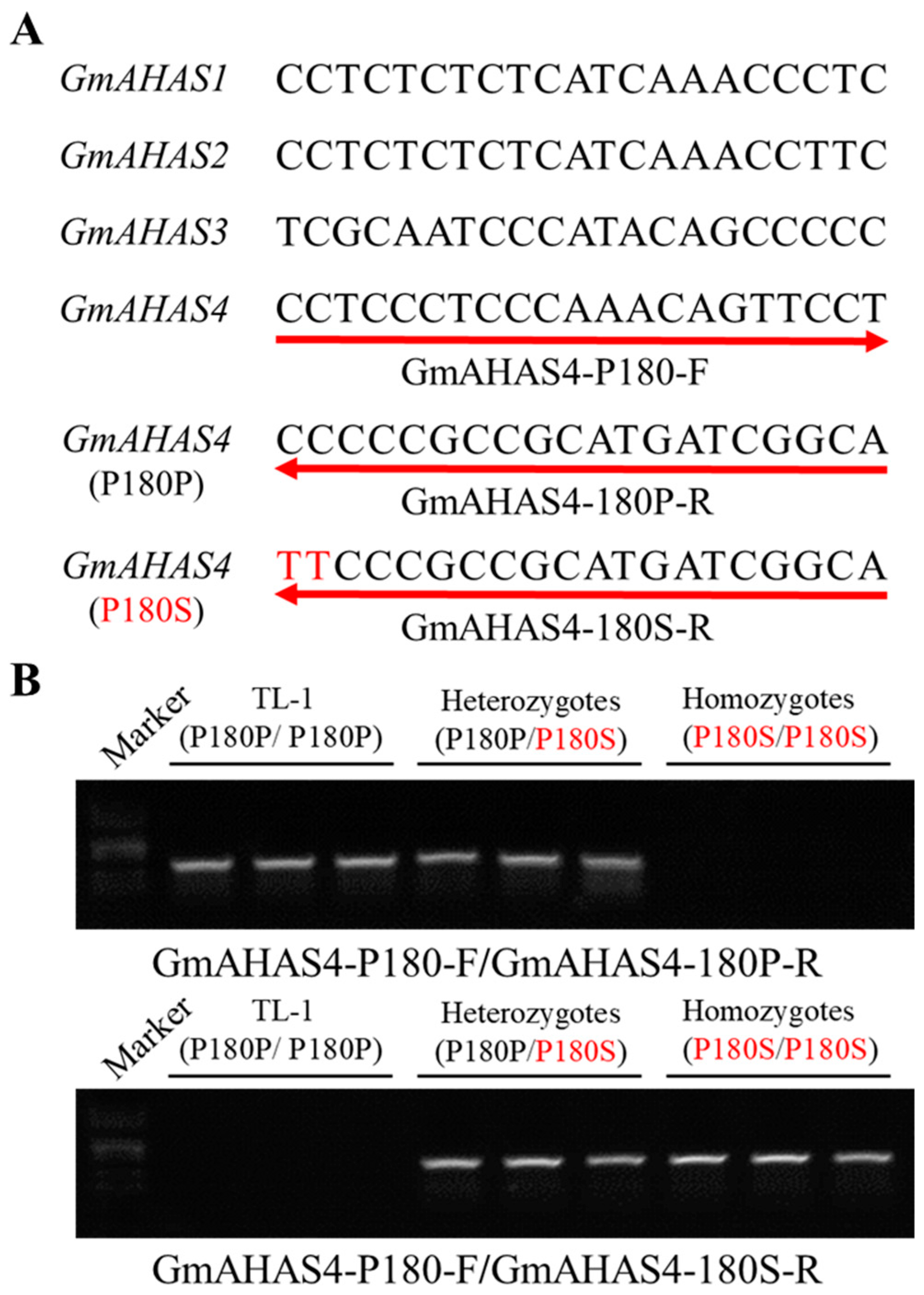 Biology 12 00741 g006 Biology 12 00741 g006