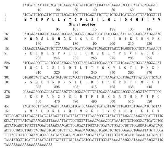 Biology, Free Full-Text