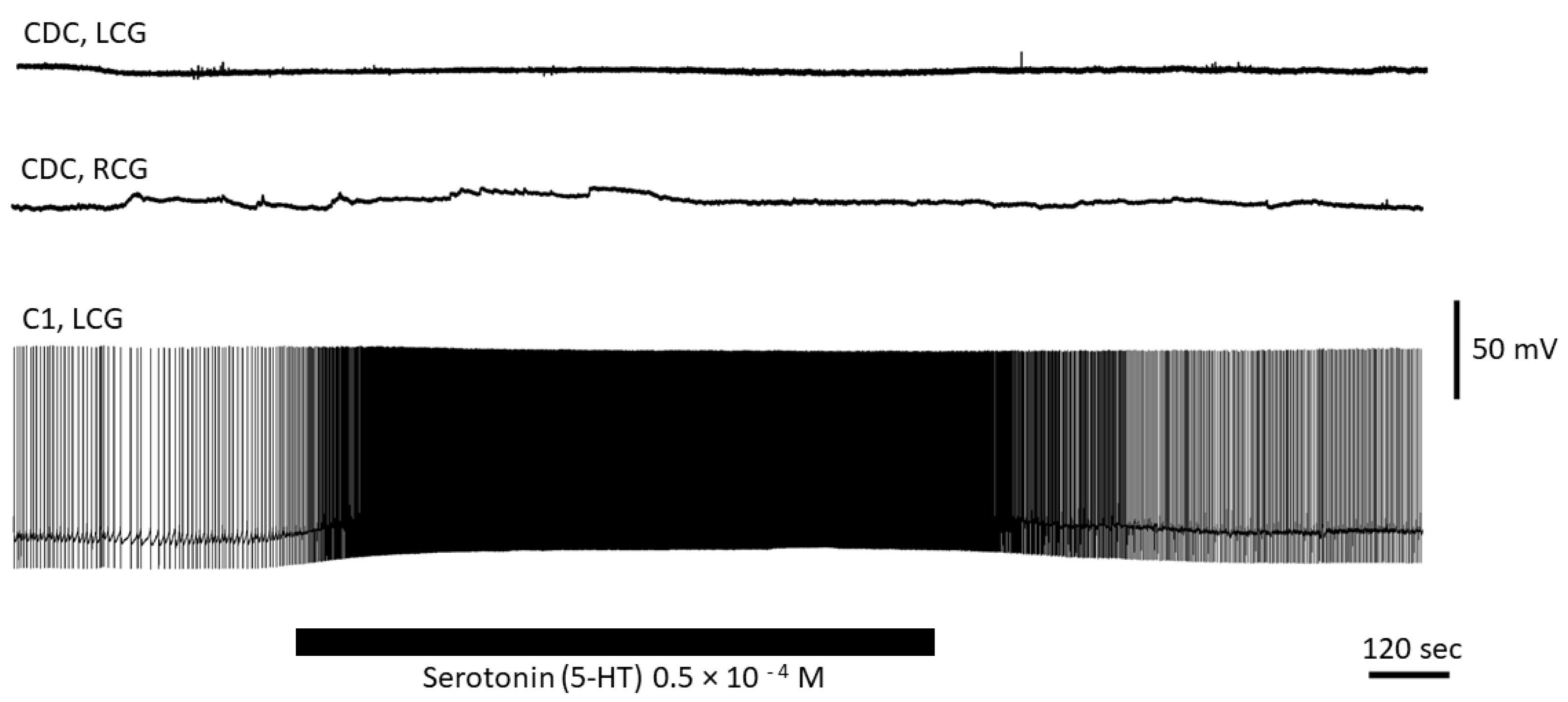 Biology 12 00764 g007