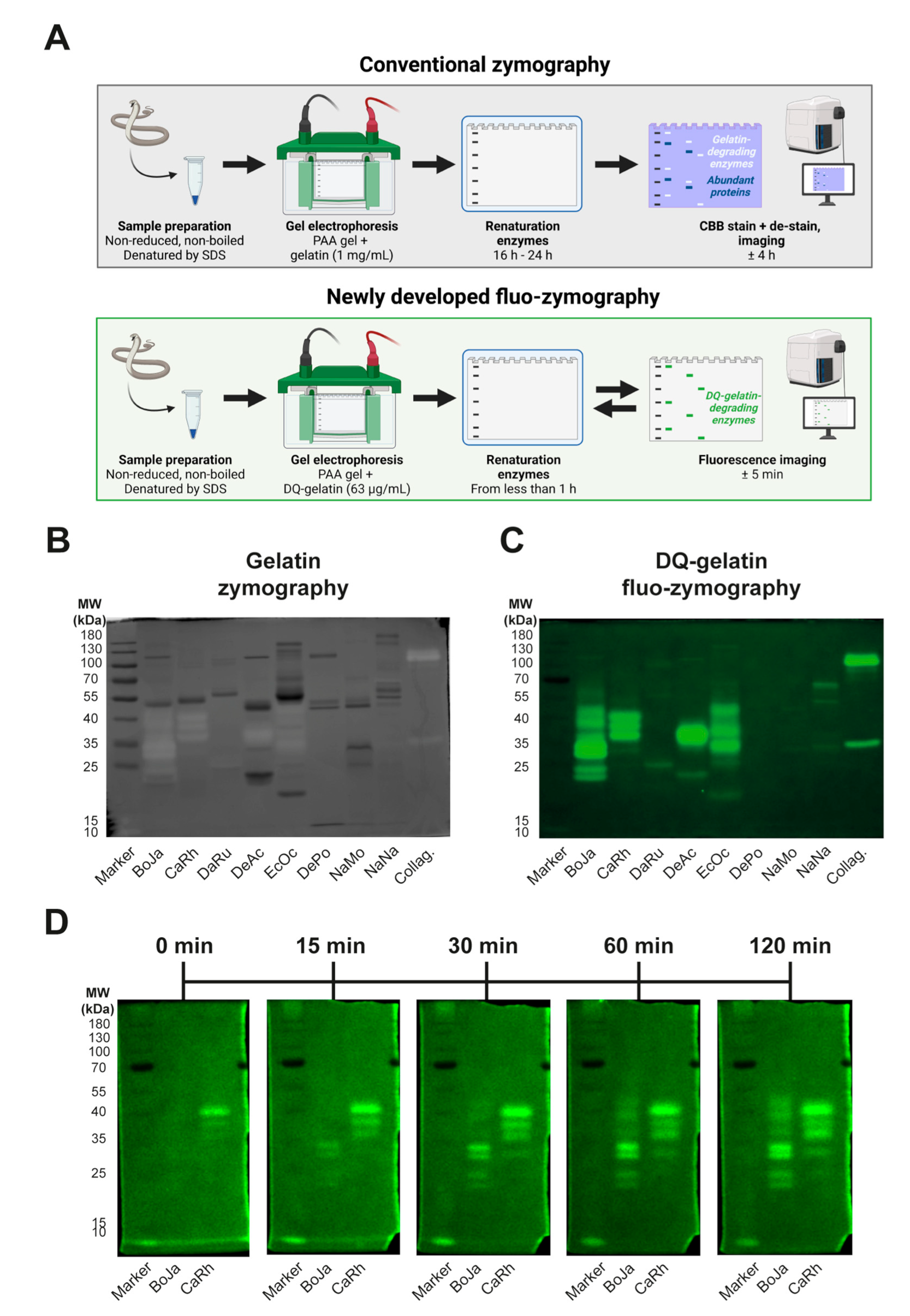 Biology 12 00765 g004