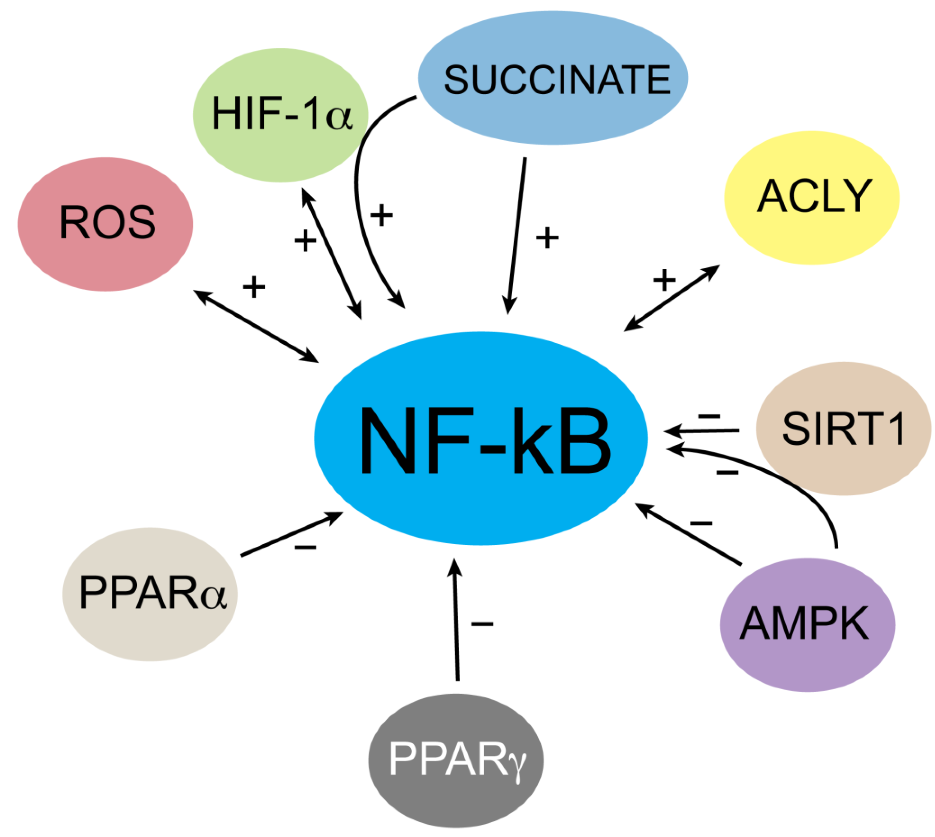 NF-κB: blending metabolism, immunity, and inflammation: Trends in Immunology