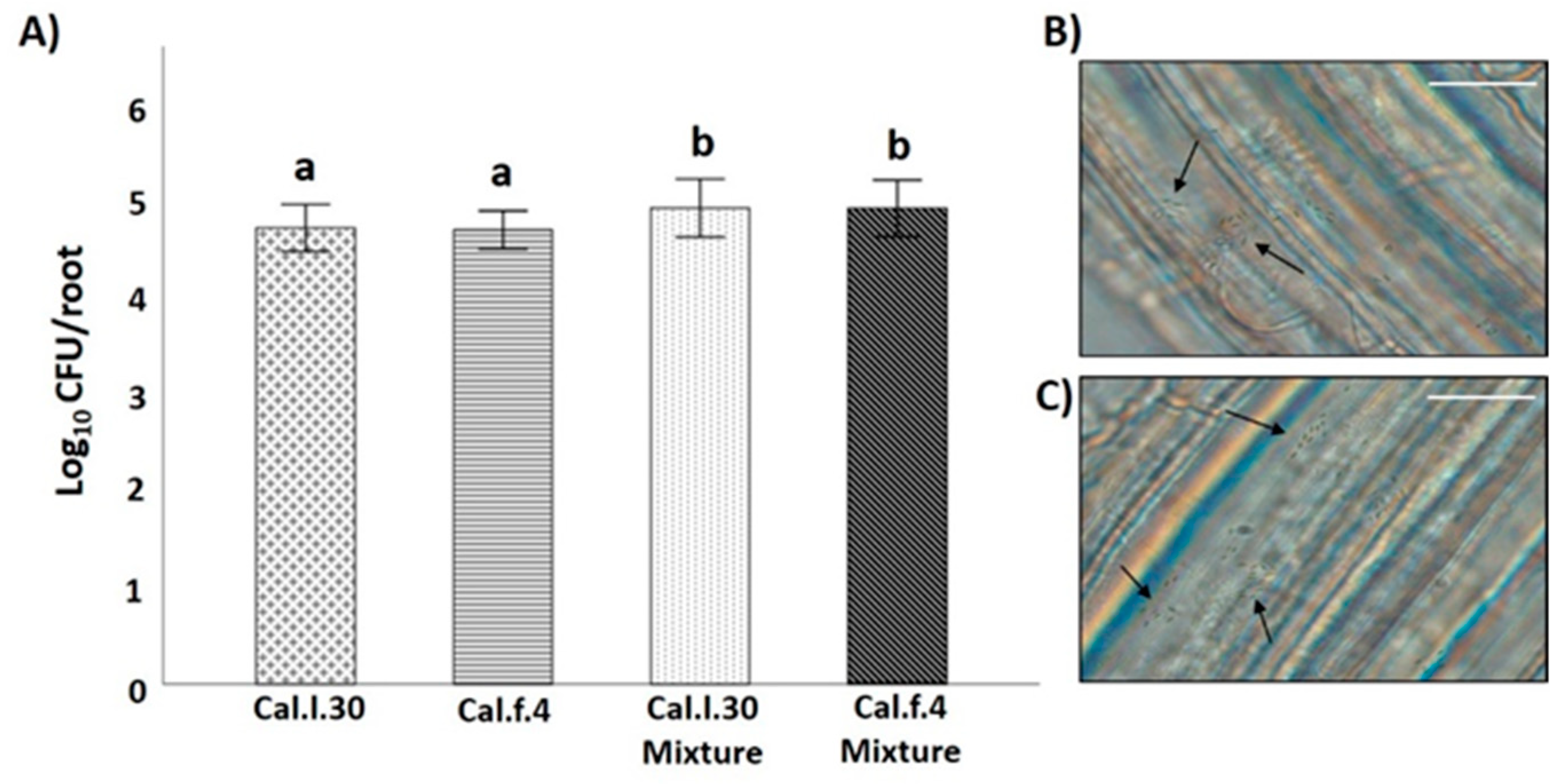 Biology 12 00779 g003 Biology 12 00779 g003