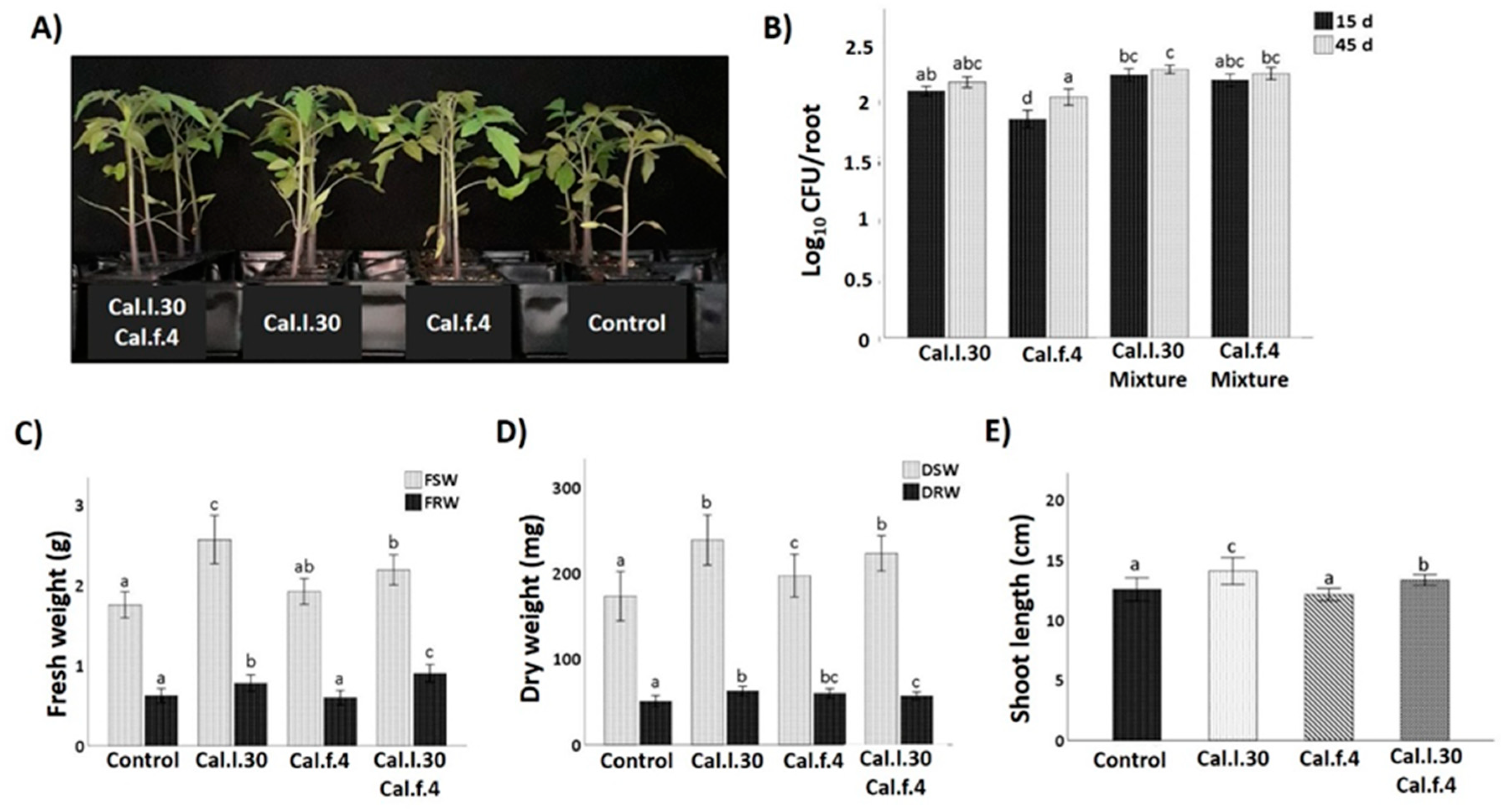 Biology 12 00779 g005 Biology 12 00779 g005