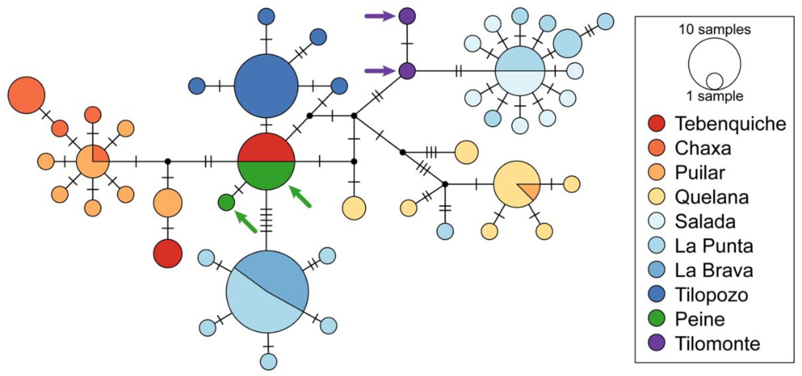Biology 12 00791 g003 Biology 12 00791 g003