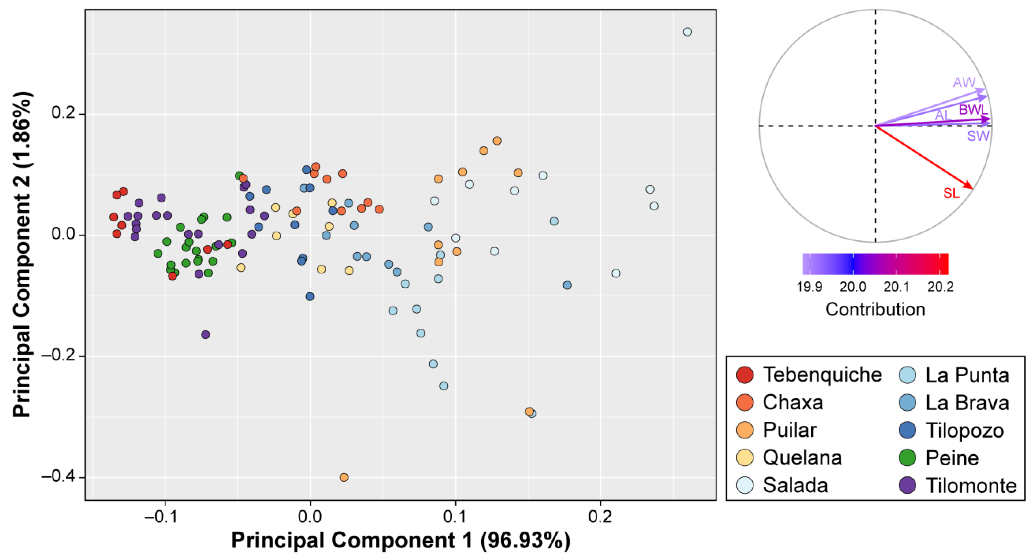 Biology 12 00791 g006 Biology 12 00791 g006