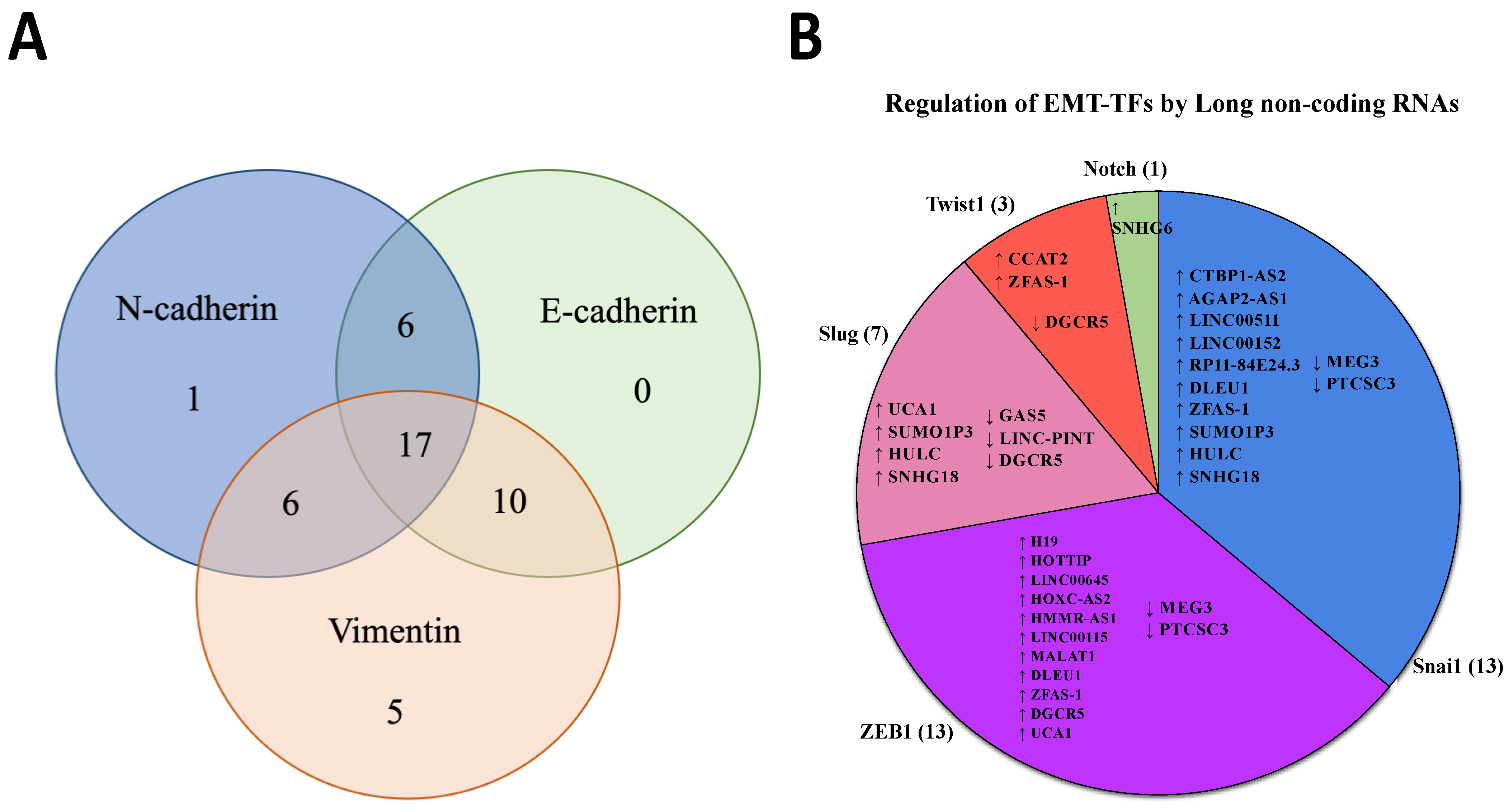 Biology 12 00818 g002