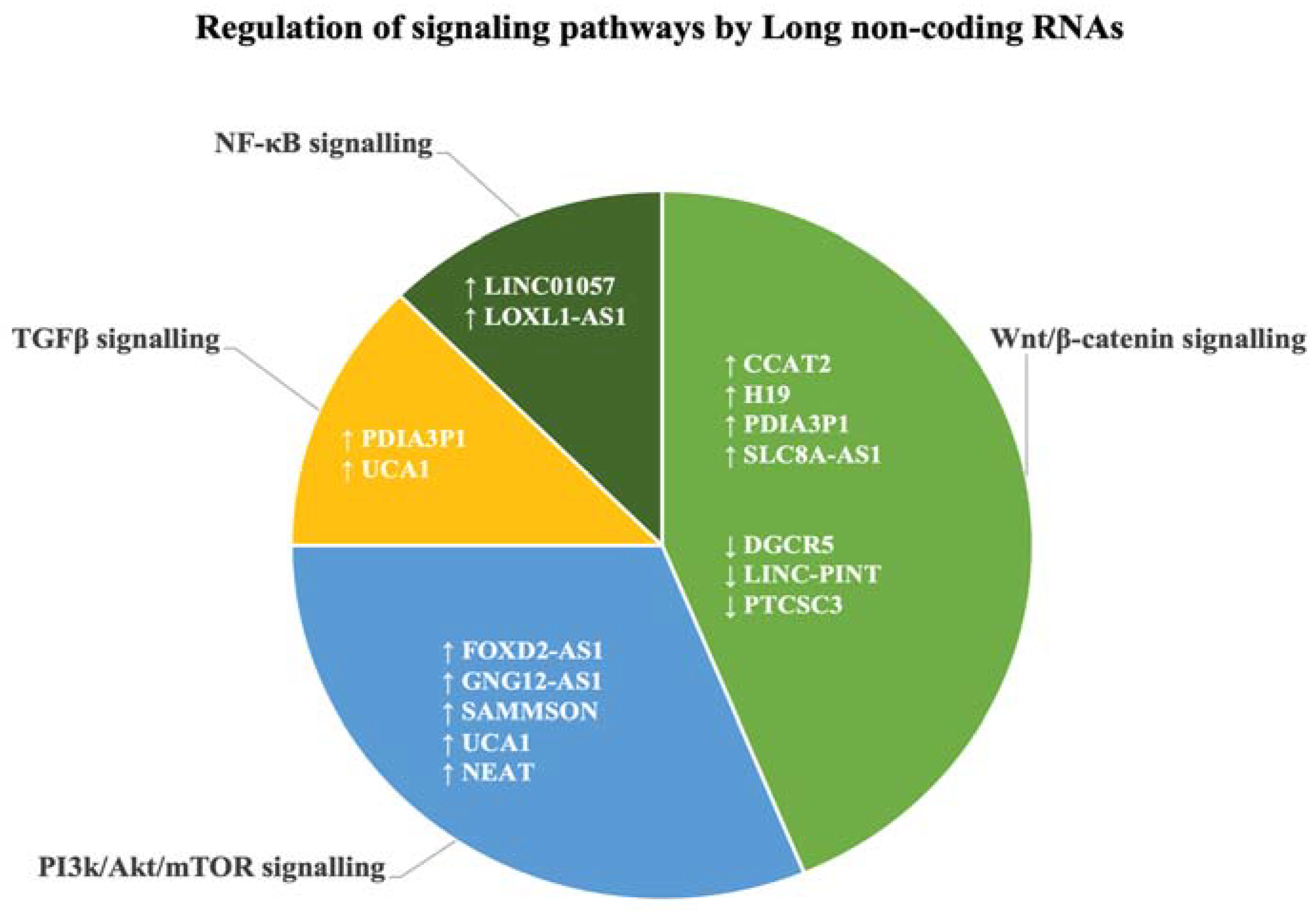 Biology 12 00818 g004