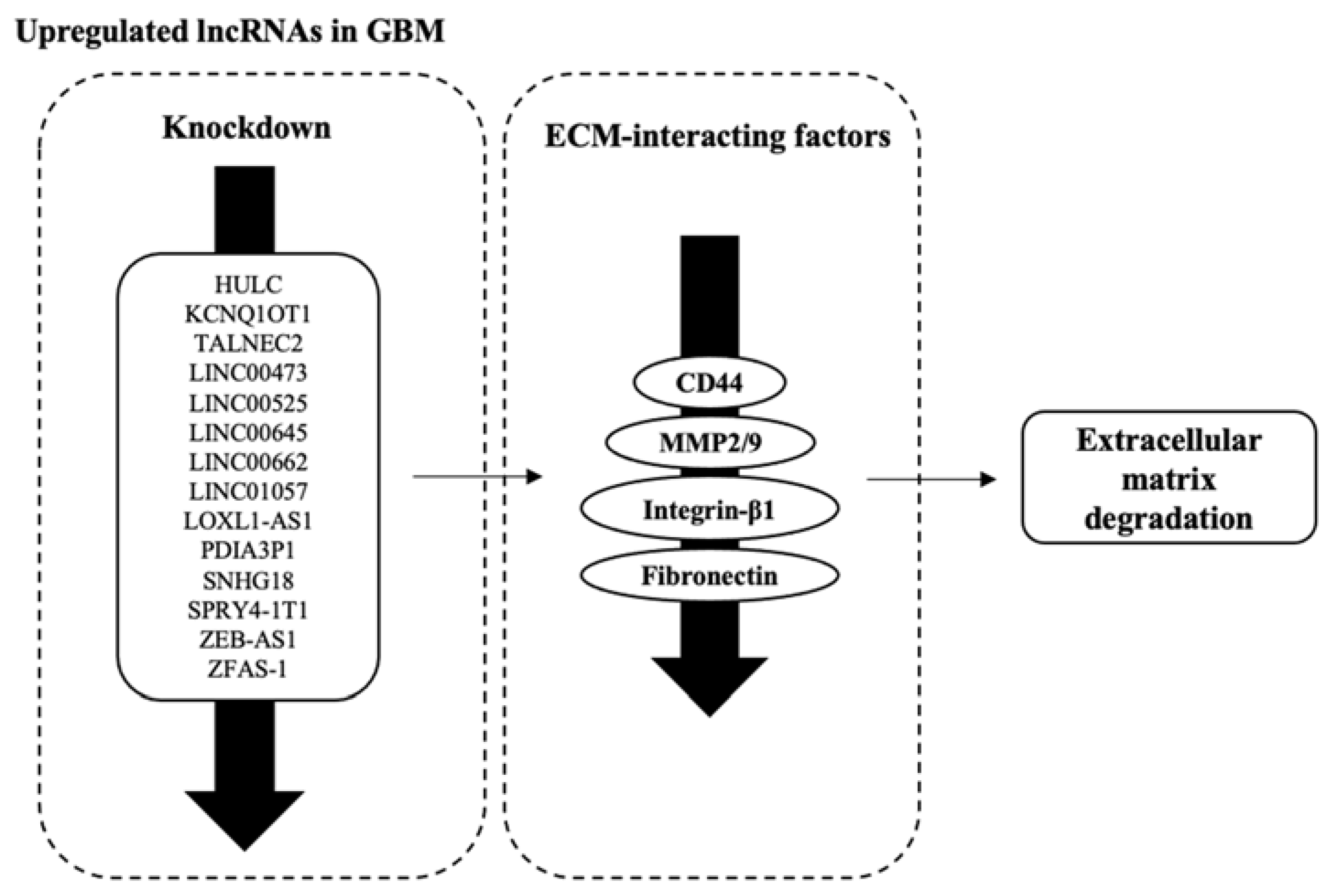 Biology 12 00818 g005