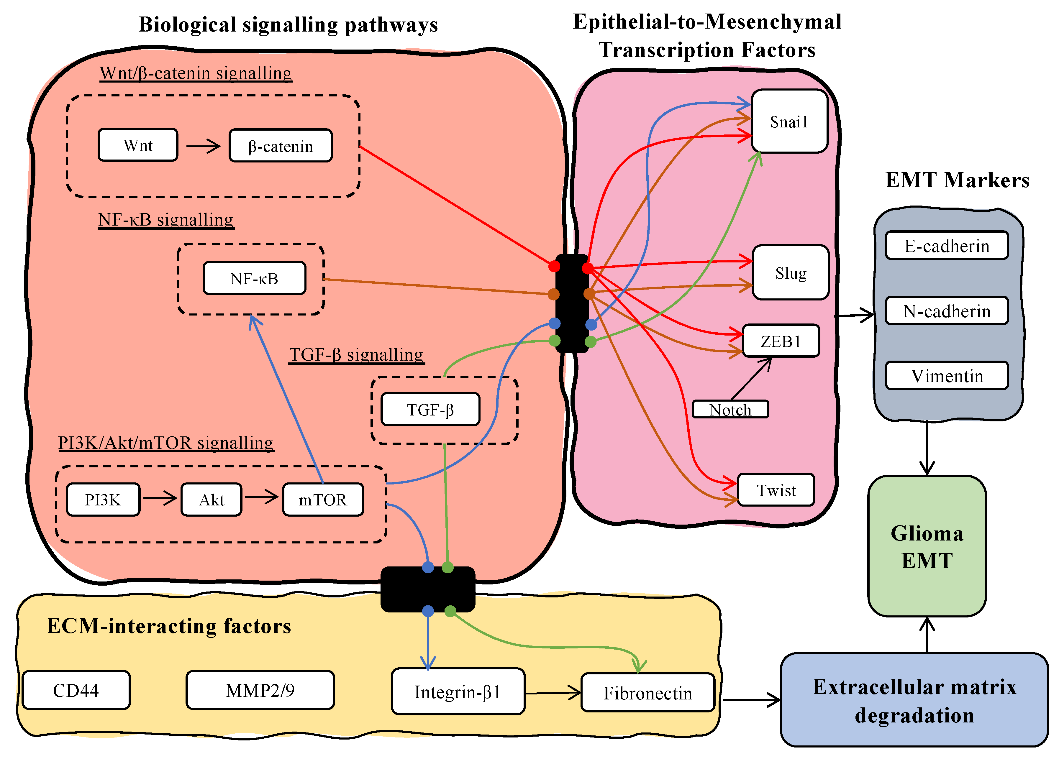 Biology 12 00818 g006