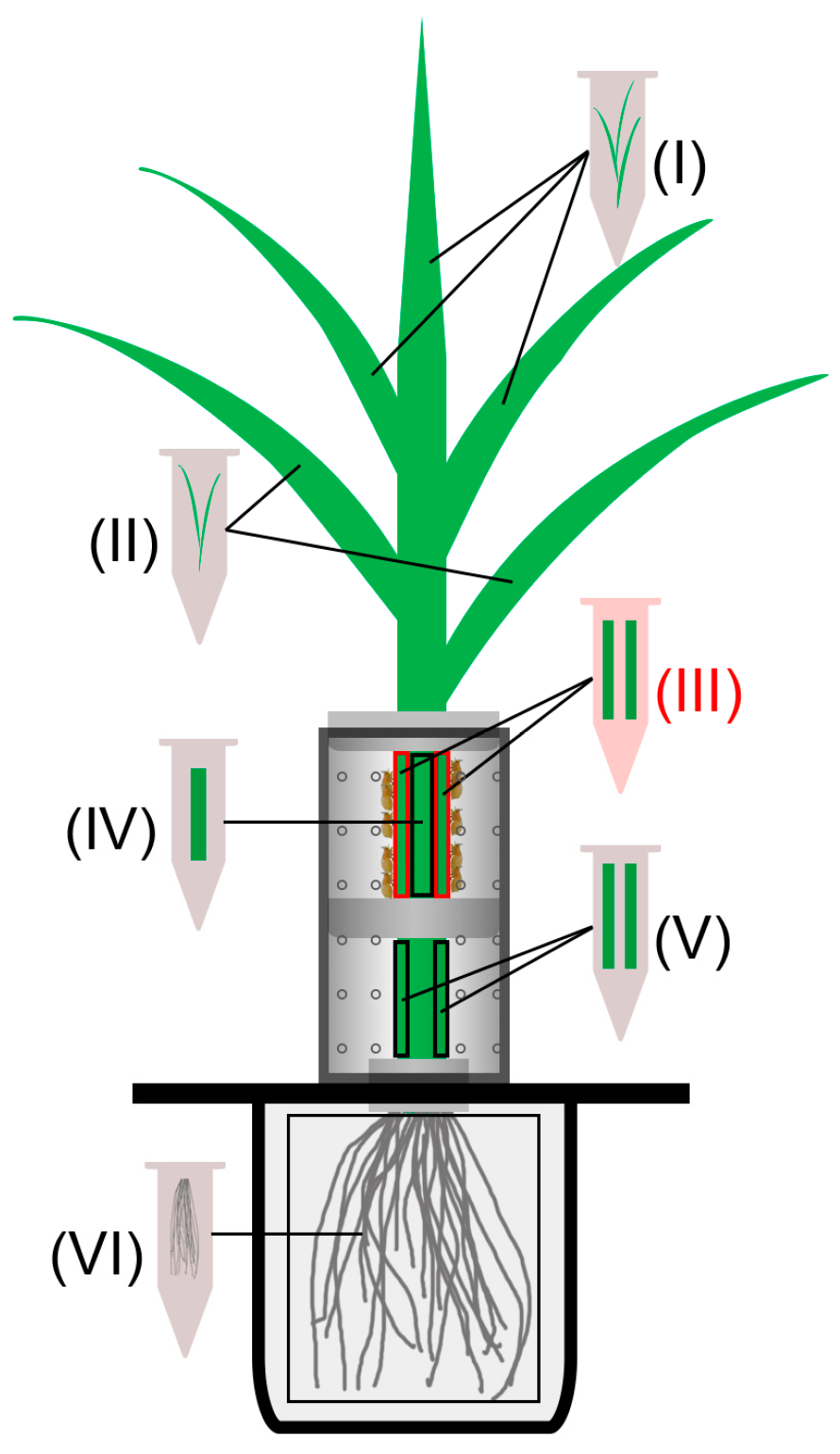 Biology 12 00820 g001 Biology 12 00820 g001