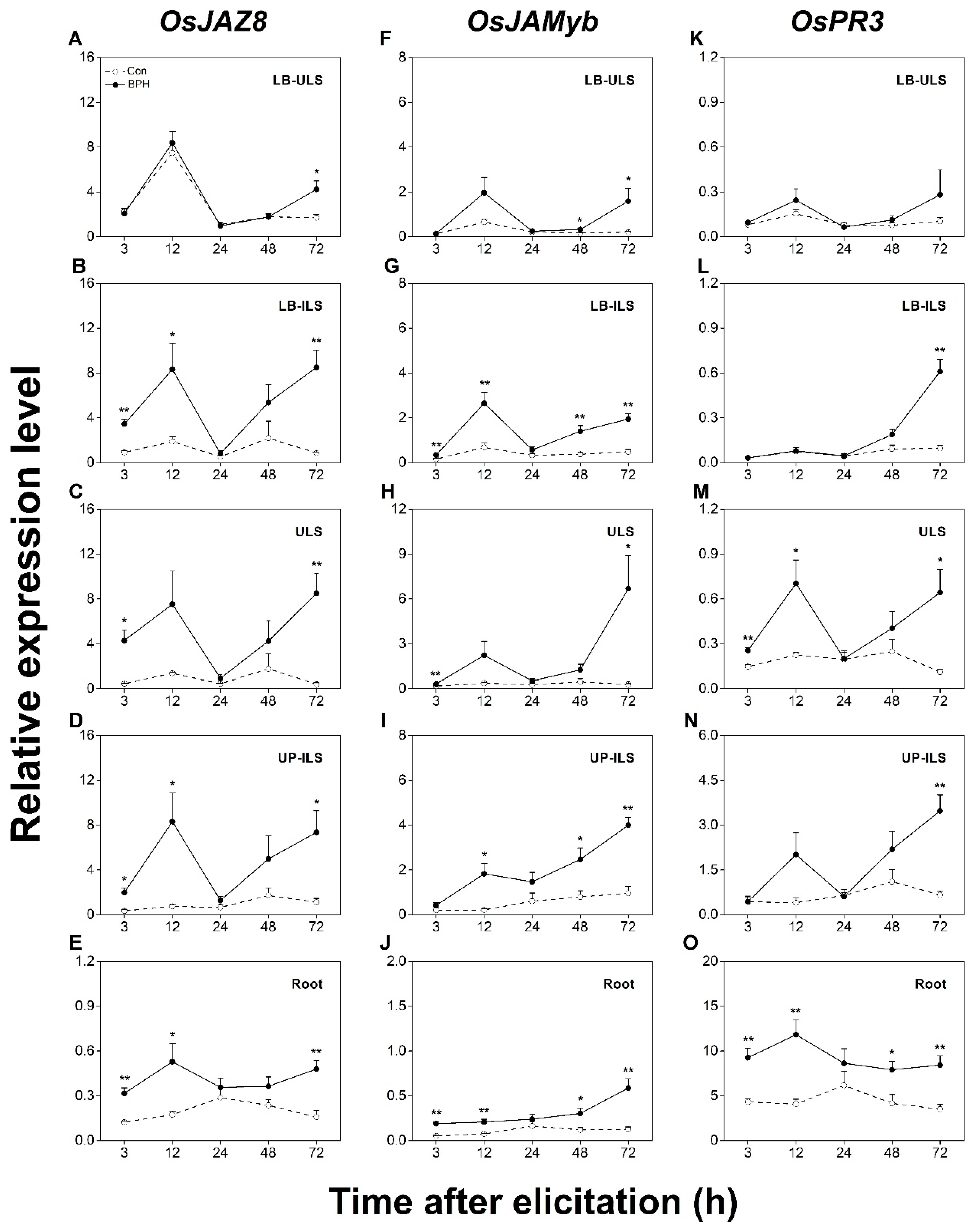 Biology 12 00820 g004 Biology 12 00820 g004