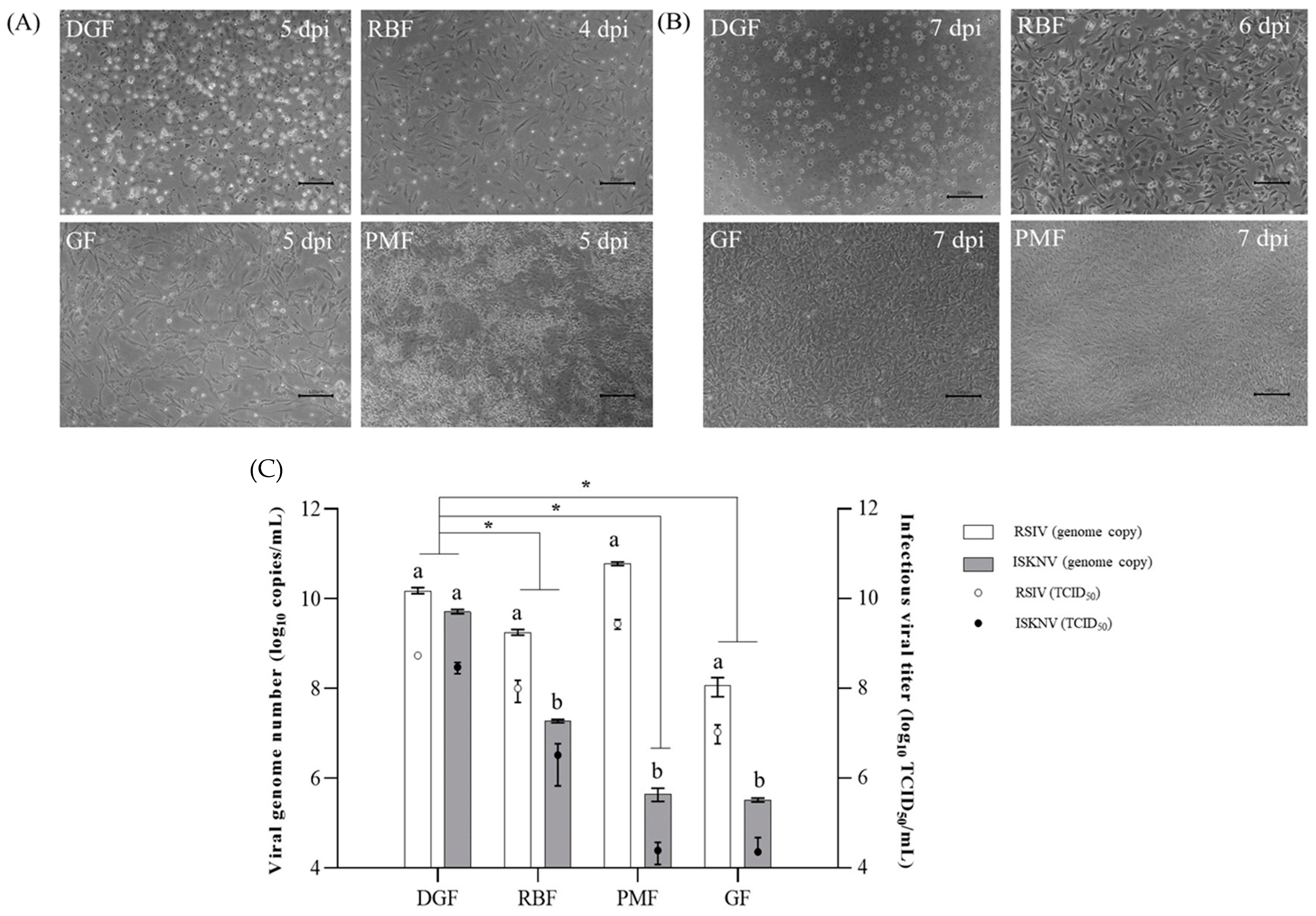 Biology 12 00829 g010