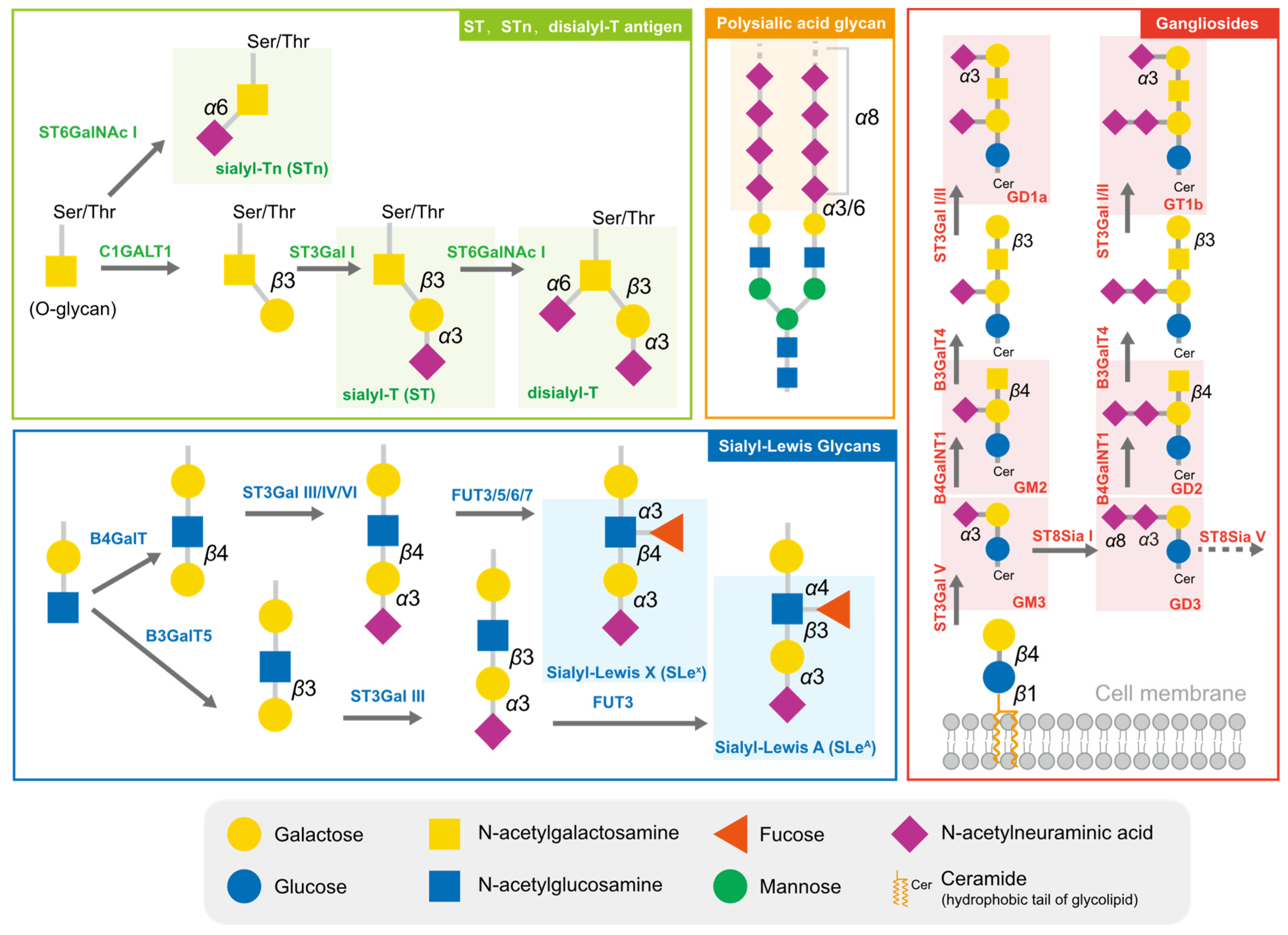 Biology 12 00832 g001 Biology 12 00832 g001