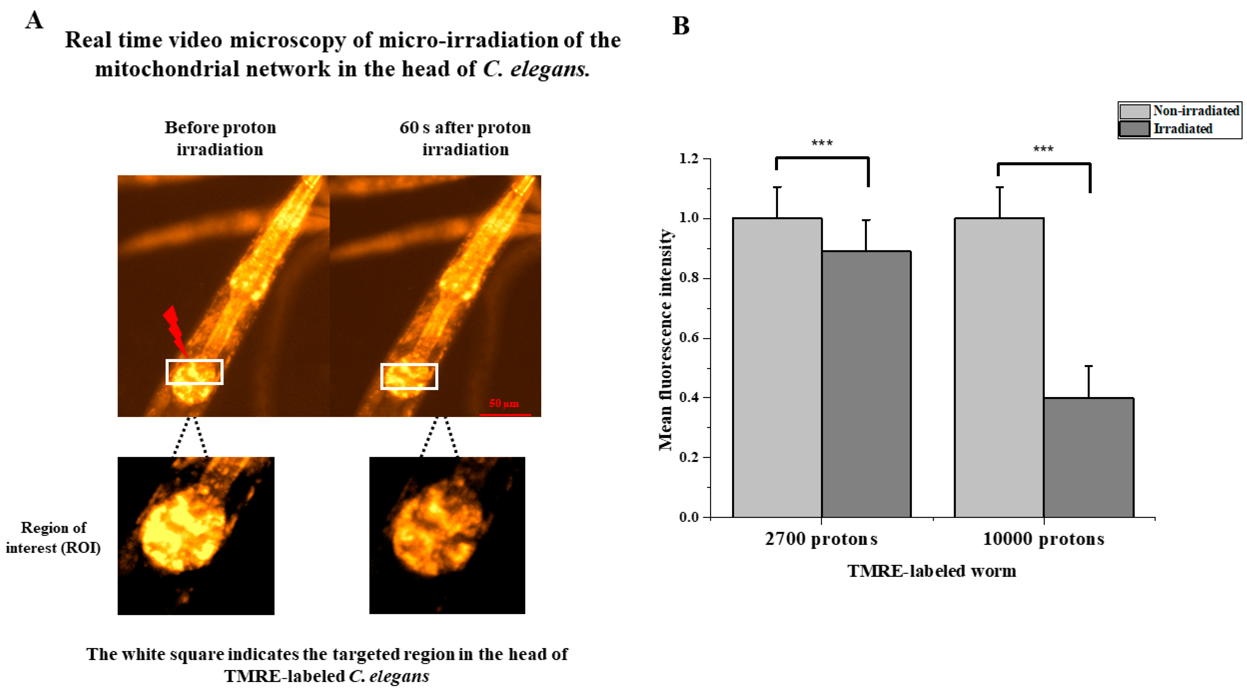 Biology 12 00839 g004