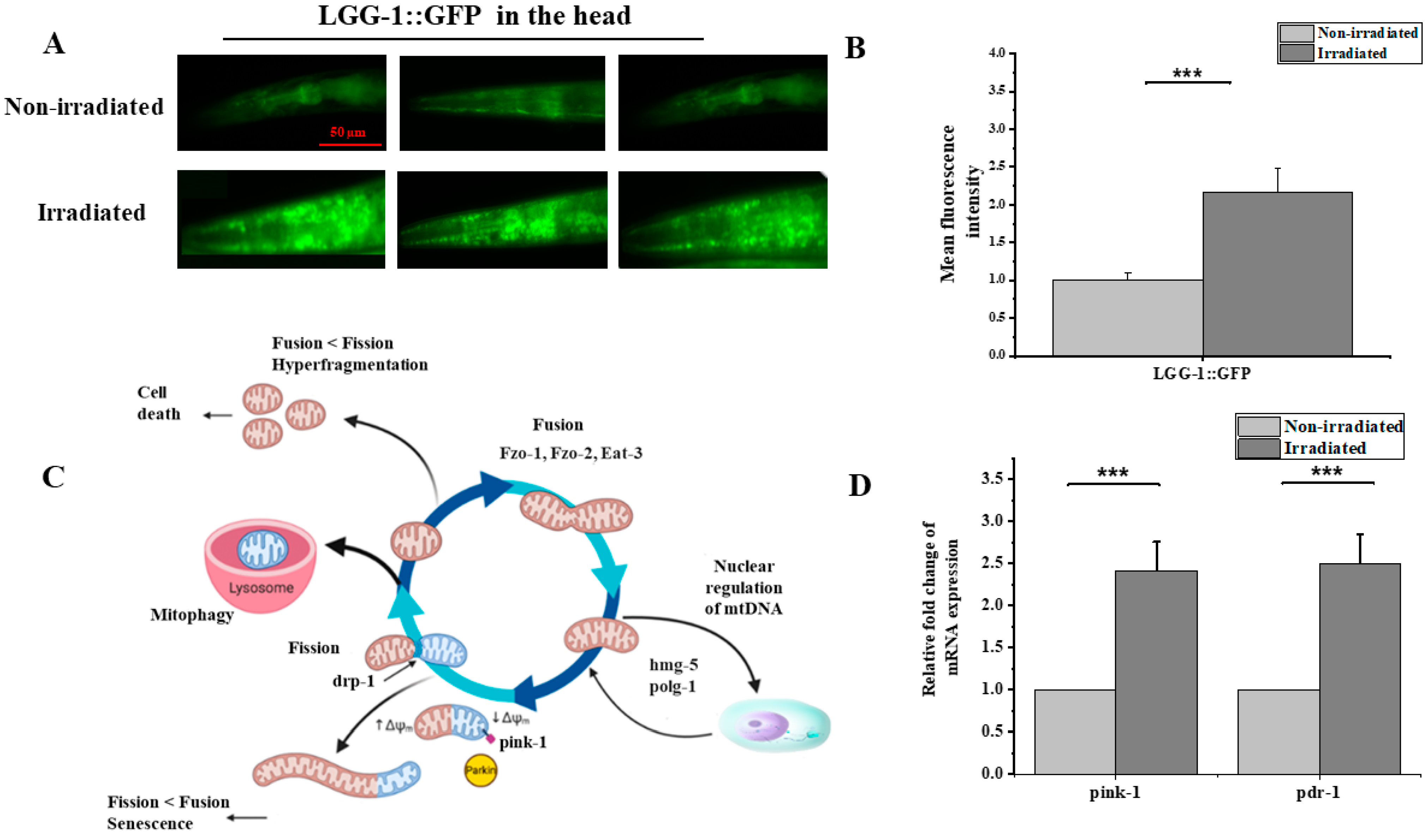 Biology 12 00839 g005