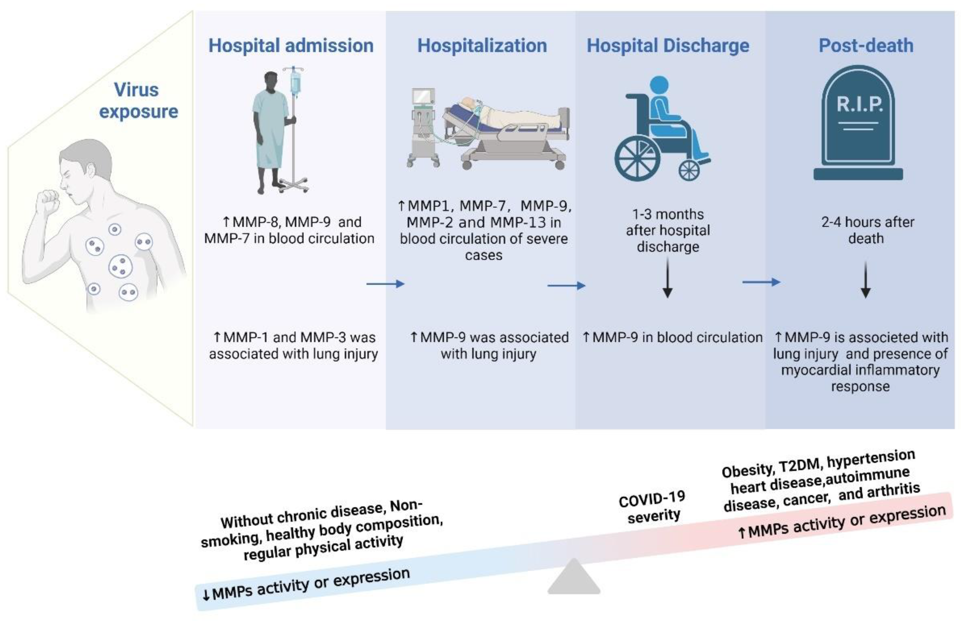 Biology 12 00843 g004