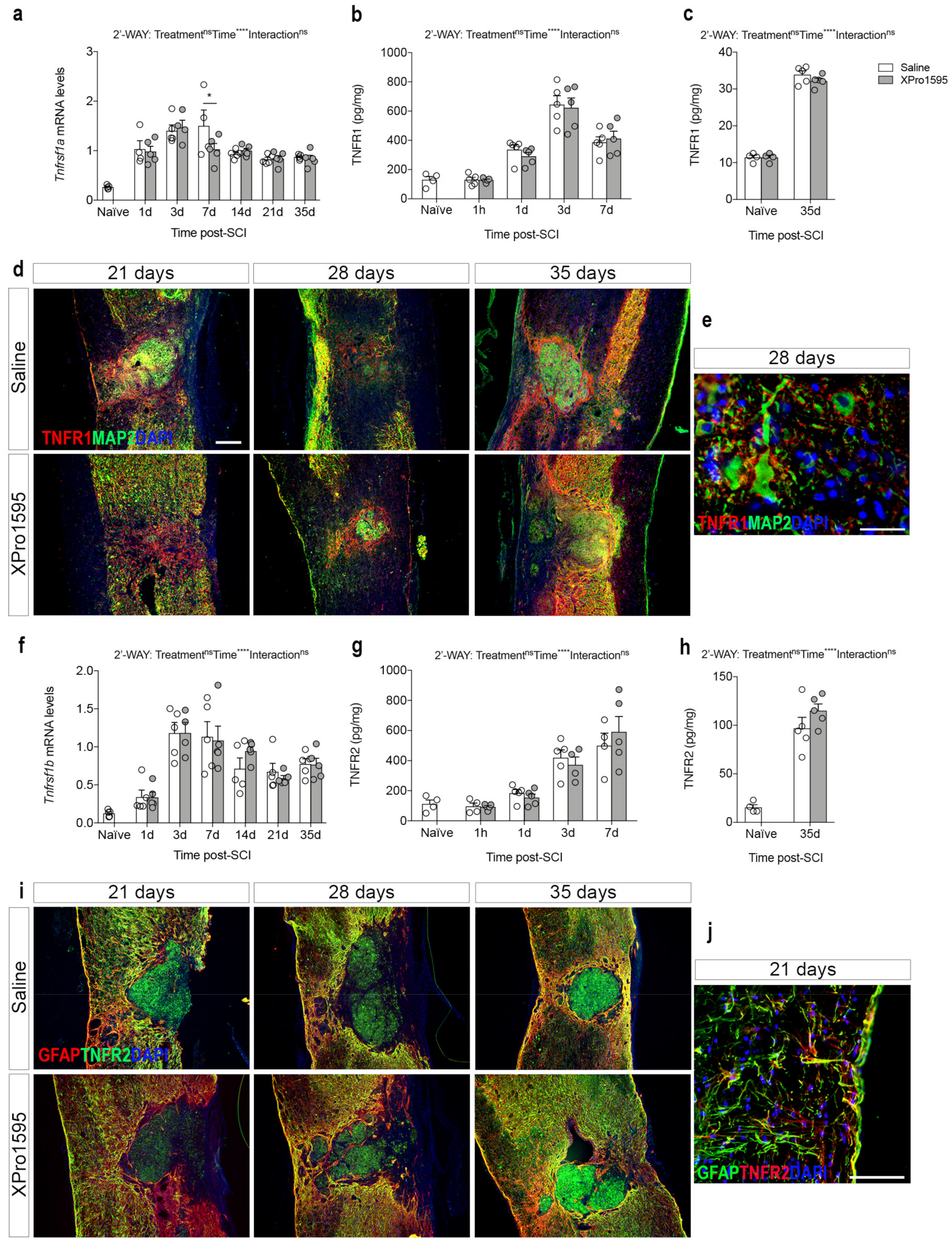 Biology 12 00845 g003